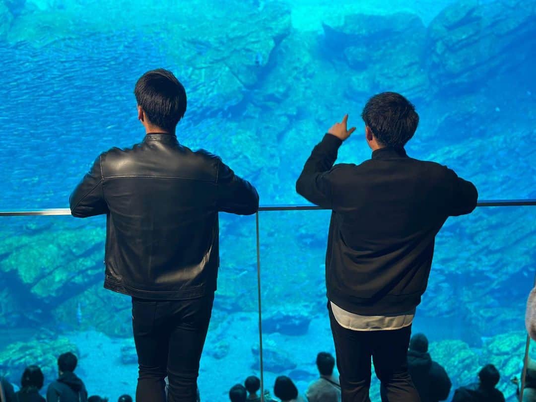 東北楽天ゴールデンイーグルスさんのインスタグラム写真 - (東北楽天ゴールデンイーグルスInstagram)「🐬  先日、村林選手の夢を叶えるべく #むらこぶ で #仙台うみの杜水族館 へ🌊✨  イルカのトレーナーを体験する村林選手と それを応援する小深田選手の姿は 「楽天イーグルス2023シーズン総集編」でCHECK！💿  水族館デートや以心伝心ゲームも行い、 今回も『むらこぶしてます』🤭  #RakutenEagles #小深田大翔 #村林一輝 #むらこぶするむらこぶ #思わずイルカもカメラ目線 #東北#宮城#仙台」12月18日 14時59分 - rakuten_eagles