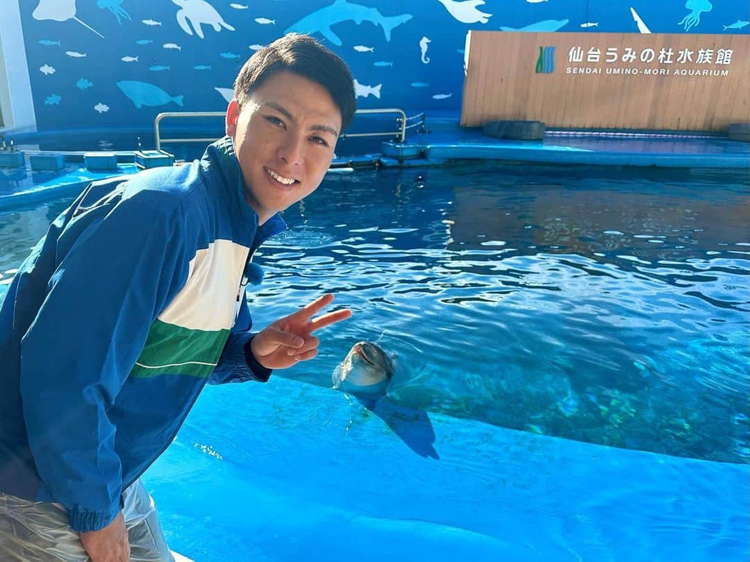 東北楽天ゴールデンイーグルスさんのインスタグラム写真 - (東北楽天ゴールデンイーグルスInstagram)「🐬  先日、村林選手の夢を叶えるべく #むらこぶ で #仙台うみの杜水族館 へ🌊✨  イルカのトレーナーを体験する村林選手と それを応援する小深田選手の姿は 「楽天イーグルス2023シーズン総集編」でCHECK！💿  水族館デートや以心伝心ゲームも行い、 今回も『むらこぶしてます』🤭  #RakutenEagles #小深田大翔 #村林一輝 #むらこぶするむらこぶ #思わずイルカもカメラ目線 #東北#宮城#仙台」12月18日 14時59分 - rakuten_eagles