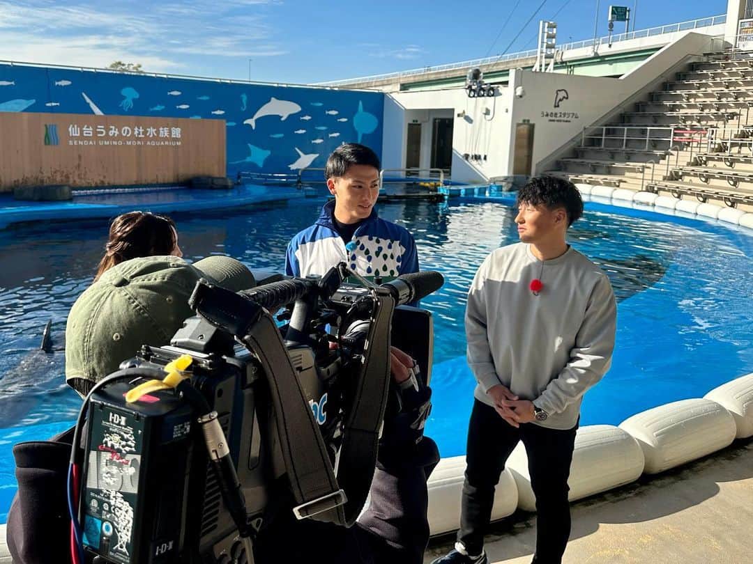 東北楽天ゴールデンイーグルスさんのインスタグラム写真 - (東北楽天ゴールデンイーグルスInstagram)「🐬  先日、村林選手の夢を叶えるべく #むらこぶ で #仙台うみの杜水族館 へ🌊✨  イルカのトレーナーを体験する村林選手と それを応援する小深田選手の姿は 「楽天イーグルス2023シーズン総集編」でCHECK！💿  水族館デートや以心伝心ゲームも行い、 今回も『むらこぶしてます』🤭  #RakutenEagles #小深田大翔 #村林一輝 #むらこぶするむらこぶ #思わずイルカもカメラ目線 #東北#宮城#仙台」12月18日 14時59分 - rakuten_eagles