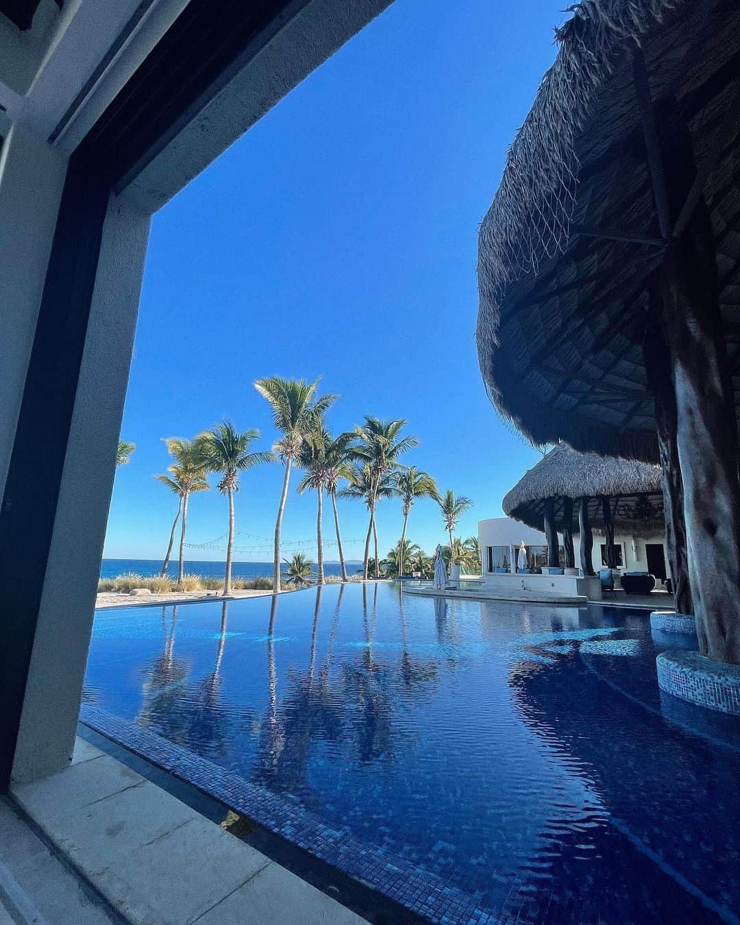 Olivia Piersonさんのインスタグラム写真 - (Olivia PiersonInstagram)「My new FAV resort @gransuenobajasur ☀️🌴🐬」12月18日 6時28分 - oliviapierson