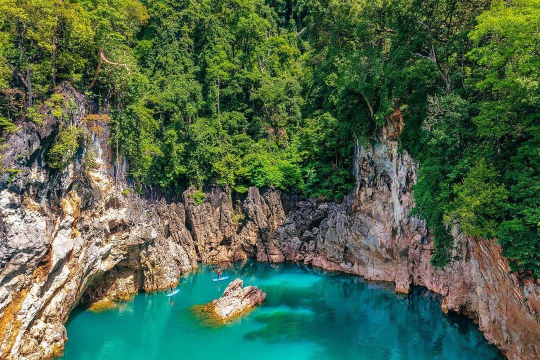タイ国政府観光庁さんのインスタグラム写真 - (タイ国政府観光庁Instagram)「. 世界最古の熱帯雨林がある「カオソック国立公園」からおはようございます☀️ᐝ  タイで22番目に国立公園として指定された、カオソック国立公園🌿 総面積738.74㎢の熱帯ジャングルで、ここの熱帯雨林はアマゾンよりも昔から存在する、世界最古のもののひとつとされています🌴 ダイナミックな峡谷や切り立つ岸壁も、圧巻のスケールです👏✨  カオソック国立公園があるのはスラーターニー県ですが、パンガー県のビーチリゾート・カオラックからもアクセス可能💡　車で片道1.5～2時間ほどのため、カオラックから日帰りすることもできちゃいます🙆‍♀️  なかでも人気なのは、公園内の人口湖・チャオラン湖（ラチャプラパーダム）を、約2時間で周遊するクルーズツアー🛥　最大では水深200mもある湖から、「タイの桂林」と称される、100以上の小島が連なった景観を堪能できます💙　まるで映画『アバター』の世界のようだという声も😳💗  400種以上の生物が生息するカオソック国立公園では、ほかにもバンブーラフティングやトレッキングなど、さまざまなアクティビティが楽しめます👟💨  神秘のパワーに満ち溢れた、タイの大自然に触れに行きましょう🌱💚  今日も素敵な1日をお過ごしください💐  ★参考になった！と思ったら、あとで見返せるように、 画像右下にある保存ボタン🔖をタップ！  #タイ #スラーターニー #パンガー #カオラック #カオソック国立公園 #国立公園 #自然が好き #冒険 #秘境 #今こそタイへ #こんなタイ知らなかった #もっと知りタイ #はじめてのタイ #タイ旅行 #パンガー旅行 #旅好きな人と繋がりたい #旅行好きな人と繋がりたい #海外旅行 #thailand #suratthani #phangnga #khaosoknationalpark #hiddengems #thailandhiddengems #amazingthailand #thailandtravel #thailandtrip #thaistagram #lovethailand #amazingnewchapters」12月18日 7時57分 - amazingthailandjp
