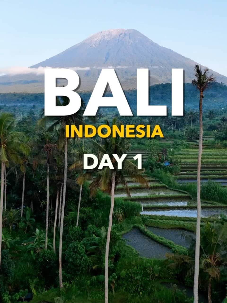 スティーヴ・アオキのインスタグラム：「Have u ever tried cat 💩 coffee? Ever swung on a swing off a cliff? Had wild monkeys jump all over u? This was Bali Part 1.」