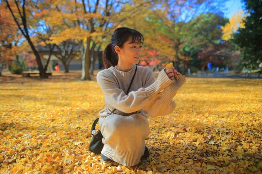 佐河ゆいさんのインスタグラム写真 - (佐河ゆいInstagram)「紅葉🍁その3 @昭和記念公園  イチョウの葉で花を作ってる人がいたから、見様見真似で作ってみた🏵️ 意外と難しくてこの大きさが私には限界だった笑  #portrait_shots #ポートレート撮影 #good_portraits_world #lovers_nippon_portrait #portrait_shot　#紅葉 #紅葉スポット  #nature #写真好きな人と繋がりたい #followｍe」12月14日 17時03分 - kaboichigo