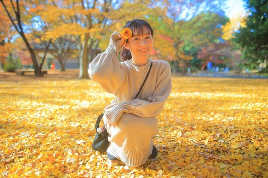 佐河ゆいさんのインスタグラム写真 - (佐河ゆいInstagram)「紅葉🍁その3 @昭和記念公園  イチョウの葉で花を作ってる人がいたから、見様見真似で作ってみた🏵️ 意外と難しくてこの大きさが私には限界だった笑  #portrait_shots #ポートレート撮影 #good_portraits_world #lovers_nippon_portrait #portrait_shot　#紅葉 #紅葉スポット  #nature #写真好きな人と繋がりたい #followｍe」12月14日 17時03分 - kaboichigo