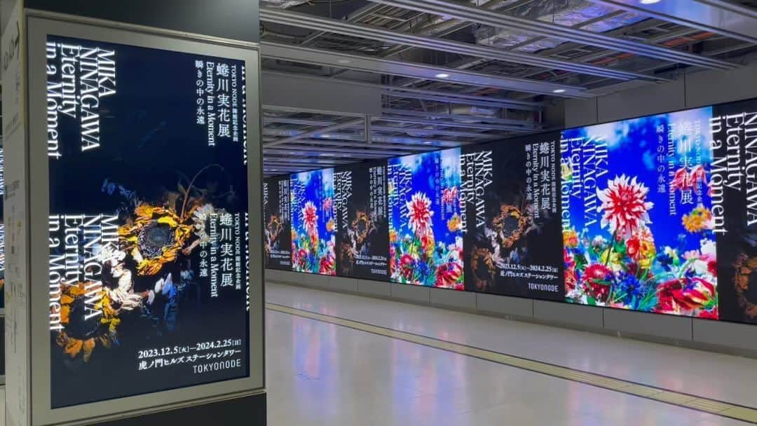 蜷川実花のインスタグラム