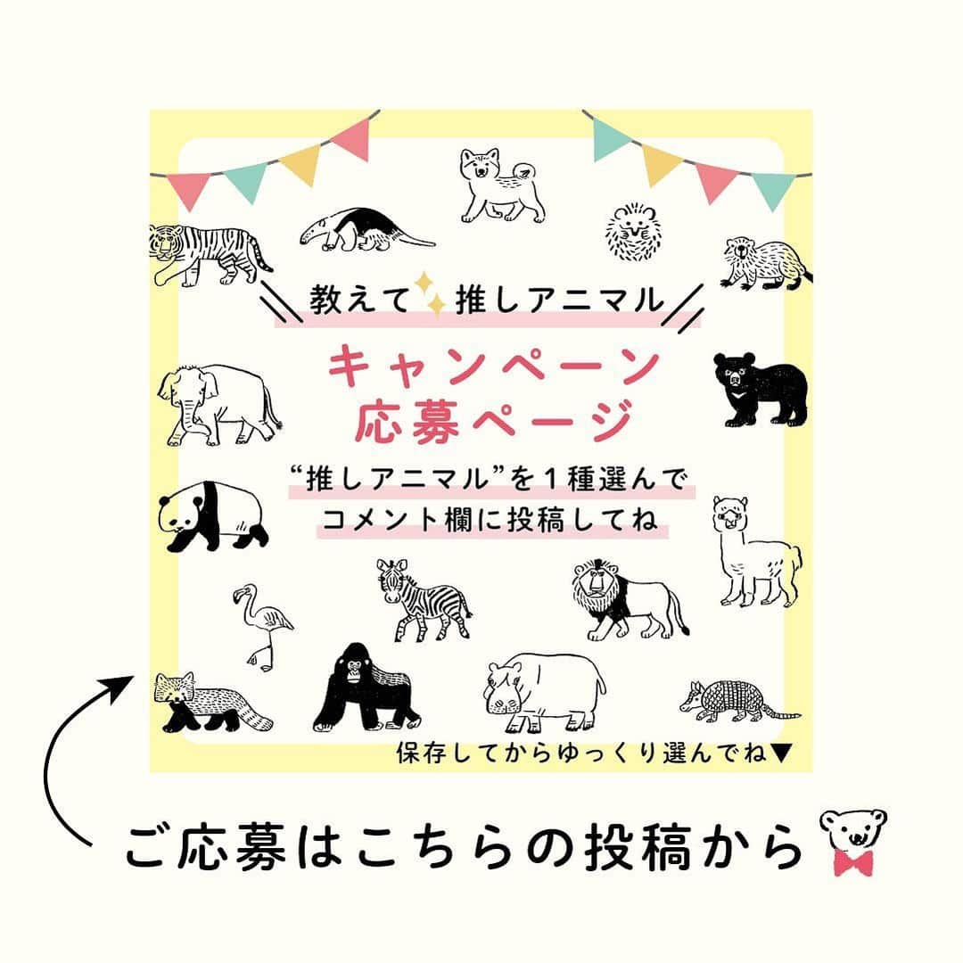 RYU-RYUさんのインスタグラム写真 - (RYU-RYUInstagram)「【アニマルパレード10周年プレゼントキャンペーン受付中！】 . こんばんは！ . 「アニマルパレード」シリーズ10周年 記念プレゼントキャンペーン 『教えて☆推しアニマル』への たくさんのご応募ありがとうございます！ . キャンペーンはまだまだ応募受付中！ 締め切りまでまだ日にちがありますので 今はじめてこのキャンペーンを知ったよ！ という方のために、 アニマルパレードの”生みの親” 絵描き・中島良二がエントリーアニマル16種類を 毎週末、4回にわたってご紹介します🎤 . 第3回目の今日は エントリーNo.9からNo.12のアニマルたちです。 中島画伯による紹介を参考にしながら ぜひご応募くださいね😊 . 応募はリュリュ公式アカウント @ryuryu_zakka から 「キャンペーン応募ページ」の投稿にアクセスしてね🔍 (👇応募方法、注意事項のご確認もお忘れなく👇) . ■応募方法 ①RYU-RYUのアカウント @ryuryu_zakka と 中島良二のアカウント @ryoji_nakajima_osakaをフォロー . ②「キャンペーン応募ページ」の投稿に アクセスして、 16種類のアニマルの中から あなたが選ぶ「イチ推しアニマル」を1種類選んで この投稿のコメント欄に「番号」と「アニマルの名前」をコメントしてください。 . ※フォローして間もないあいだは、コメントができない場合があります。 その場合はしばらく時間を置いてからコメントしてみて下さい。 . コメントしてくれた応募者の中から 抽選で10名様に 「10周年記念クッキー缶」をプレゼント！ アニマルパレード10周年記念の オリジナルクッキー缶に 神戸のお菓子屋さん 「LE PONT」 @lepont_haru さんの クッキーがぎっしり詰まった 豪華コラボレーションのクッキー缶、 今回のためだけの非売品レアアイテムです🎁 10周年ロゴ入りクッキーとシロクマのクッキーも 1枚ずつ入っています🐻‍❄️ . ■応募締め切り 2024年1月10日（水） . ■当選のご連絡 2024年1月末頃（予定） ご当選者様には当アカウントより当選通知のDMをお送りいたします。 . ■応募条件＆注意事項 ▪︎公開アカウントにてご応募ください。アカウント非公開の場合は抽選対象となりません。 ▪︎ご応募はお一人様1回限りとなります。 ▪︎期間終了後に抽選を行い、当選者の方にのみ当選通知のDMをお送りします。 ▪︎アカウント上での当選者発表は行いません。また、抽選結果のお問い合わせにはお答えできませんのでご了承ください。 ▪︎当選者の個人情報はプレゼント発送時の使用のみとし、第三者に掲示、提供することはありません。 ▪︎当選のご連絡後、1週間以内にご返信がない場合、当選が無効となります。 ▪︎発送の都合上、プレゼントの発送は日本国内のみとさせていただきます。 ▪︎プレゼントの発送において、記載いただいた情報に不備がある場合や、配達期間内にお受け取りいただけない場合は、当選が無効となります。 ▪︎クッキーのアレルギー成分（一部に小麦・乳成分・アーモンド・卵・大豆を含む）をご確認の上、ご応募ください。 ▪︎ クッキー原材料：小麦粉（国内製造）、バター、砂糖、アーモンド、卵、ココナッツ、ココア、ヘーゼルナッツ。チョコレート、牛乳、シナモン、フランボワーズ、いちご、塩／乳化剤、安定剤（ペクチン）※一部に小麦・乳成分・アーモンド・卵・大豆を含む ▪︎ 掲載画像はサンプルの為、クッキーの種類等 内容に一部変更が生じる場合がございます。 ▪︎プレゼントの返品・交換はできません。 ▪︎プレゼントは丁寧に梱包・発送いたしますが、クッキーにつきましては輸送中に欠け・割れが生じる場合がございます。予めご了承ください。 . #リュリュ #ryuryu #アニマルパレード #アニパレ #アニパレ10周年 #おかげさまで10周年 #中島良二 #アニマル #推し #推しアニマル #文具 #ステーショナリー #動物 #どうぶつ #イラスト #プレゼント #キャンペーン #10周年記念企画 #クッキー #クッキー缶 #焼き菓子 #クッキー詰め合わせ」12月14日 17時50分 - ryuryu_zakka