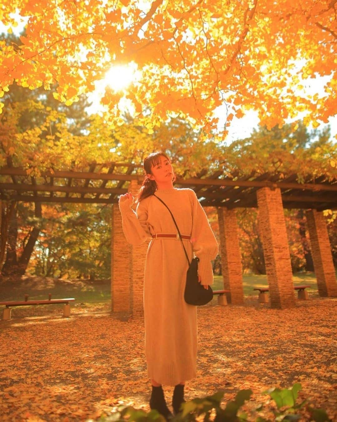 佐河ゆいさんのインスタグラム写真 - (佐河ゆいInstagram)「紅葉🍁その1 @昭和記念公園　  初の昭和記念公園 銀杏並木が最高👌 タイミング抜群すぎて激混みだったけどいい写真撮れた😆  #portrait_shots #ポートレート撮影 #good_portraits_world #lovers_nippon_portrait #portrait_shot　#紅葉 #紅葉スポット  #nature #写真好きな人と繋がりたい #followｍe」12月14日 10時29分 - kaboichigo