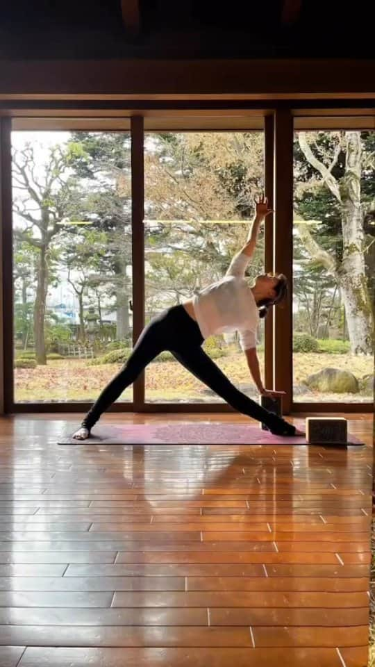 ヨガデザインラボ Yoga Design Labのインスタグラム：「YDLアンバサダー山形県代表の齋藤 やよい @yayoi.koko331 様から、 動画＆お写真📸を頂戴いたしました😊 まずは動画から！  お写真を見ていて👀とても伸び伸びして気持ちよくなりました🌟  是非、齋藤 やよい様のフォローお願いいたします！   @yayoi.koko331  コルクブロック欠品していましたが入荷いたしました！  購入先：Amazon https://x.gd/CVsmk  色:Cork Mandala 材質:エチレン酢酸ビニル (EVA) ブランド:Yoga Design Lab 商品の重量:170 グラム 商品の寸法:23L x 14W x 7.6Th cm」