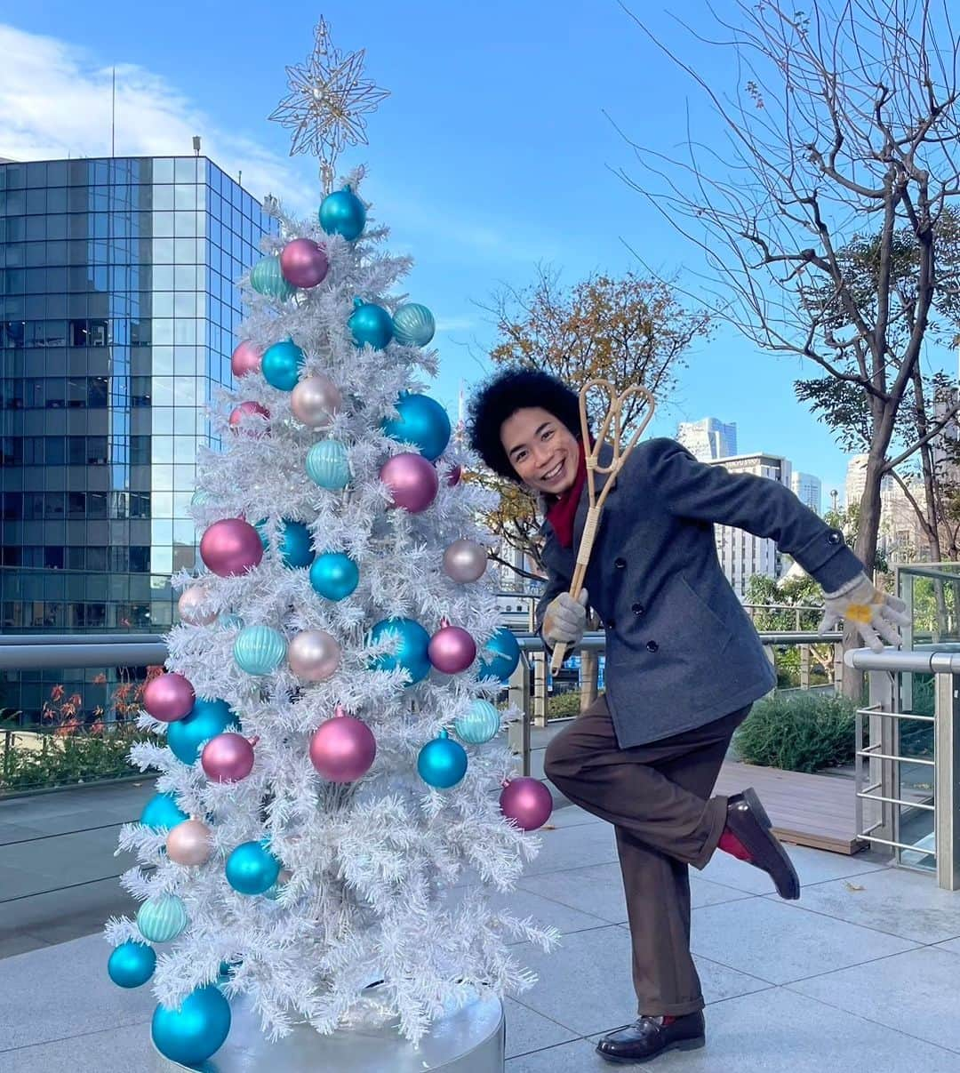 くぼてんきのインスタグラム：「青空とクリスマスツリーと布団たたき  #青空 #クリスマスツリー #布団たたき #今日の日差しを有効に」