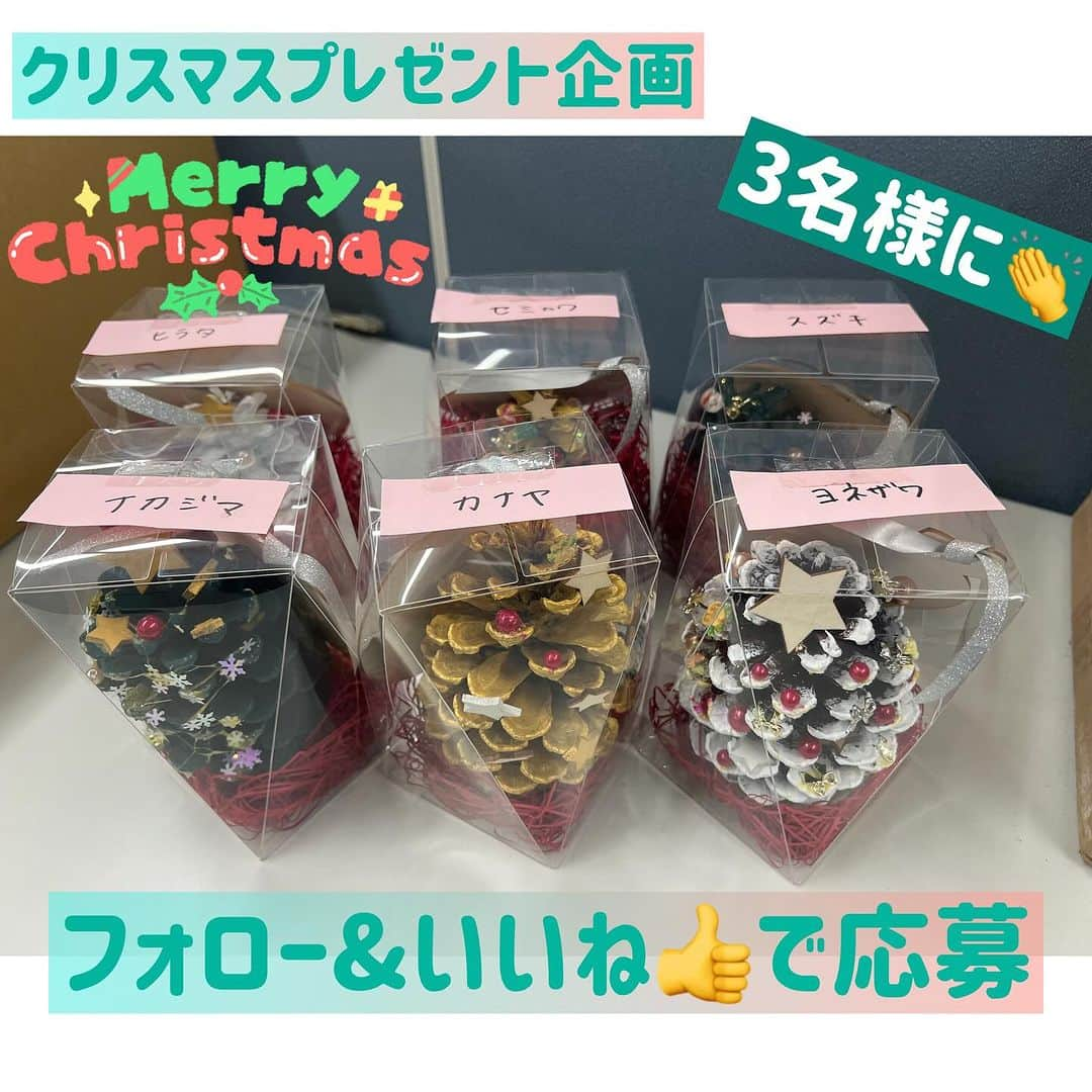  JGTO 男子プロゴルフツアーのインスタグラム：「／ クリスマスツリーを作ってみた🎄 プレゼントキャンペーン✨📣 ＼ 抽選で3名に#ゴルフ日本シリーズjtカップ で若手選手に頑張って作ってもらったクリスマスツリーをプレゼント🎁 選手たちの奮闘の様子はストーリーもしくはハイライトのリンクからご覧ください🙋🏻 どの選手のツリー🎄が届くかはお楽しみです😊  🎁応募方法🎁 ①このアカウント＠japangolftourをフォロー ②この投稿に『いいね』 ③コメントいただけると当選確率アップ⤴️  🎄応募締め切り🎄 12/17 23:59まで  当選者にのみDMでご連絡します。　 なおその際に口座情報やクレジットカード番号などを聞いたり、リンクを貼り付けて他サイトに誘導することなどは一切ございません。偽アカウントにご注意ください。  #jgto #男子ゴルフ #プレゼントキャンペーン #プレゼント企画  #中島啓太  #金谷拓実  #蟬川泰果 #蝉川泰果 #鈴木晃祐  #米澤蓮 #平田憲聖 #クリスマスツリー #クリスマスツリー飾り付け」