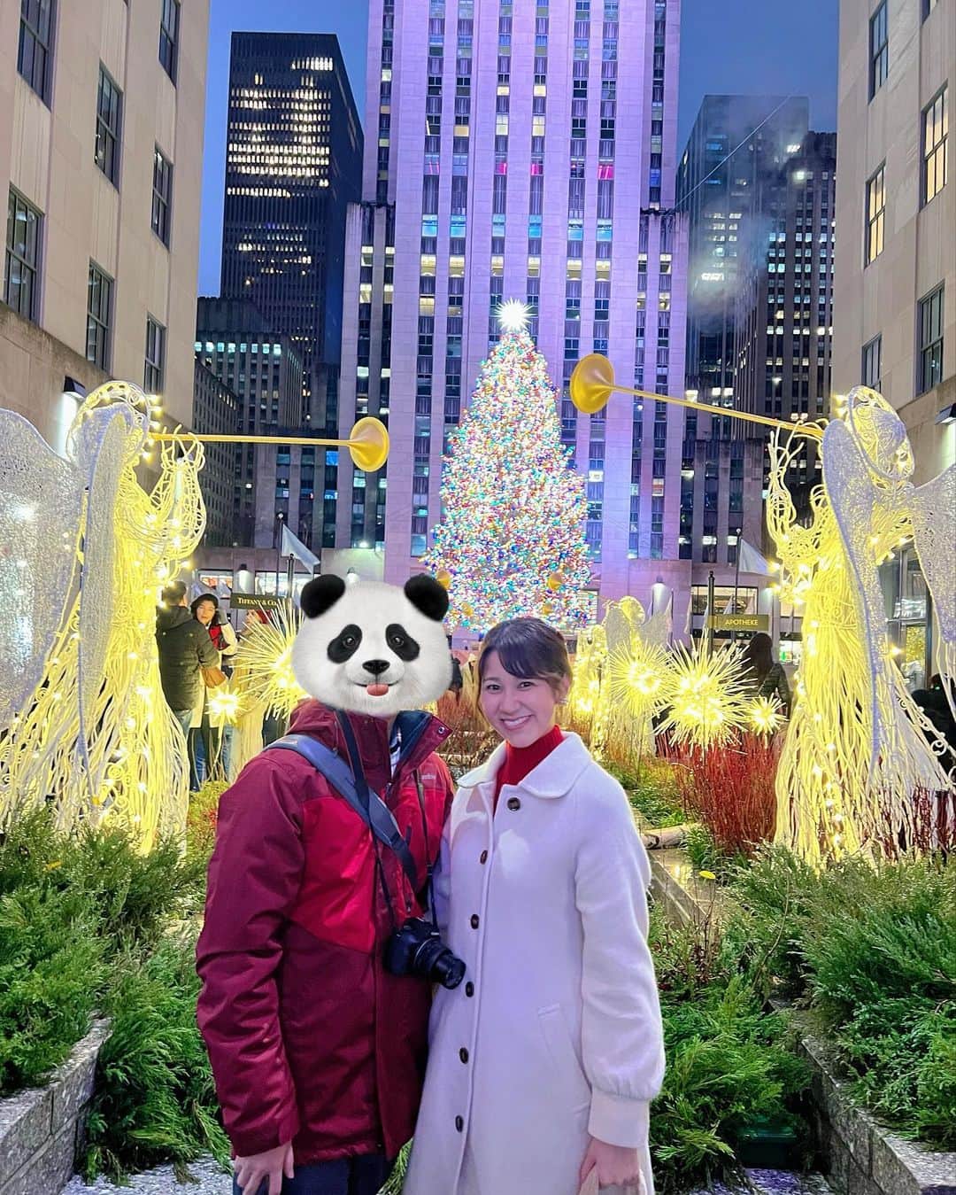 荒木優里さんのインスタグラム写真 - (荒木優里Instagram)「🩷 ロックフェラーセンターのクリスマスツリー🎄✨  NYのクリスマスを代表する場所です🤗❤️ その美しさにうっとり😍😍 近くを通るたびに何度も立ち寄ってしまいます😁💕 最近は連日大混雑ですが😂✨  Fox Squareのツリーは 両サイドにくるみ割り人形の装飾が😆❣️ これまたかわいくて好き🌟  #christmastree #christmaslights  #rockefellercenter #foxsquare #アメリカ生活 #アメリカ暮らし #ニューヨーク #ニューヨーク生活  #ニューヨーク暮らし #ニューヨーク在住 #Newyork #NYC #NY #アメリカ在住日本人 #帯同妻 #渡米記録 #海外生活 #travel #trip #旅行好き #アナウンサー #フリーアナウンサー #荒木優里 #荒木優里のゆるりアメリカ生活」12月14日 13時11分 - yuriaraki0726