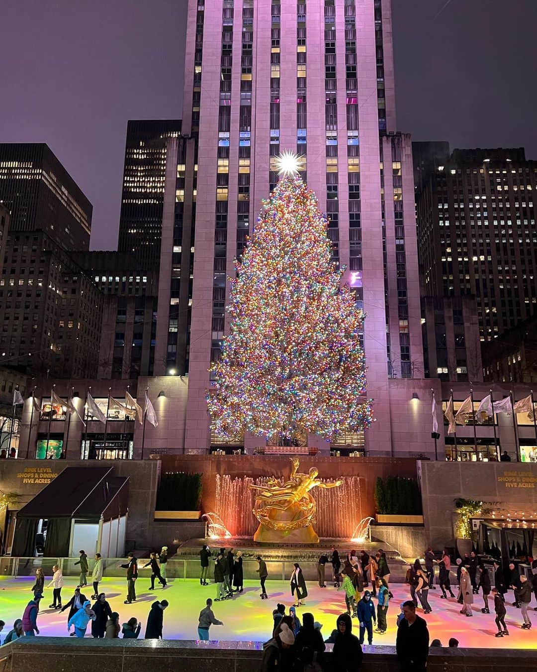 荒木優里のインスタグラム：「🩷 ロックフェラーセンターのクリスマスツリー🎄✨  NYのクリスマスを代表する場所です🤗❤️ その美しさにうっとり😍😍 近くを通るたびに何度も立ち寄ってしまいます😁💕 最近は連日大混雑ですが😂✨  Fox Squareのツリーは 両サイドにくるみ割り人形の装飾が😆❣️ これまたかわいくて好き🌟  #christmastree #christmaslights  #rockefellercenter #foxsquare #アメリカ生活 #アメリカ暮らし #ニューヨーク #ニューヨーク生活  #ニューヨーク暮らし #ニューヨーク在住 #Newyork #NYC #NY #アメリカ在住日本人 #帯同妻 #渡米記録 #海外生活 #travel #trip #旅行好き #アナウンサー #フリーアナウンサー #荒木優里 #荒木優里のゆるりアメリカ生活」