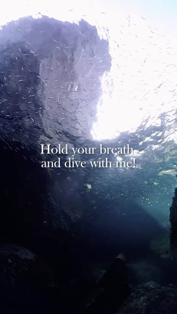 Supassaraのインスタグラム：「Hold your breath and dive with me!🧜🏻‍♀️✨💦  📹 @bigoceanworld  #cavediving  #freediving」