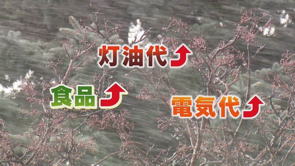 北海道放送「今日ドキッ!」のインスタグラム：「. 今日の#今日ドキッ は… 【年末までにやるべき行動❗️】  給料上がらない！ 物価高で、食品、電気代、灯油代は値上がり！  この冬、家計は大打撃！？  そこで！緊急企画！ 『まだ間に合う！年末にするべきお金の行動！』を お金のプロに教えてもらいます☝🏻  物価高の中、お得なお金の話題です💰  #hbc #北海道放送 #hbcテレビ #北海道 #札幌 #アナウンサー #堀啓知 #森田絹子 #年金 #ふるさと納税」