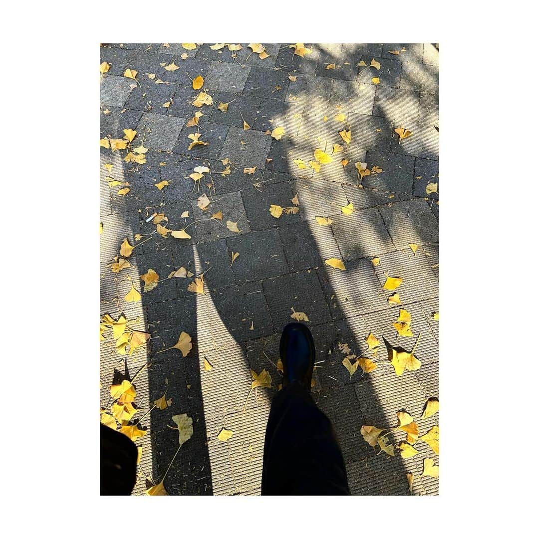 三倉茉奈さんのインスタグラム写真 - (三倉茉奈Instagram)「眩しいほどの黄色！  パワーを感じます」12月14日 15時46分 - mana_mikura_official