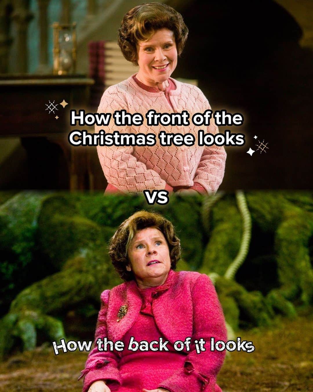 ハリー・ポッターのインスタグラム：「we WILL have order... just not on the back of the christmas tree」