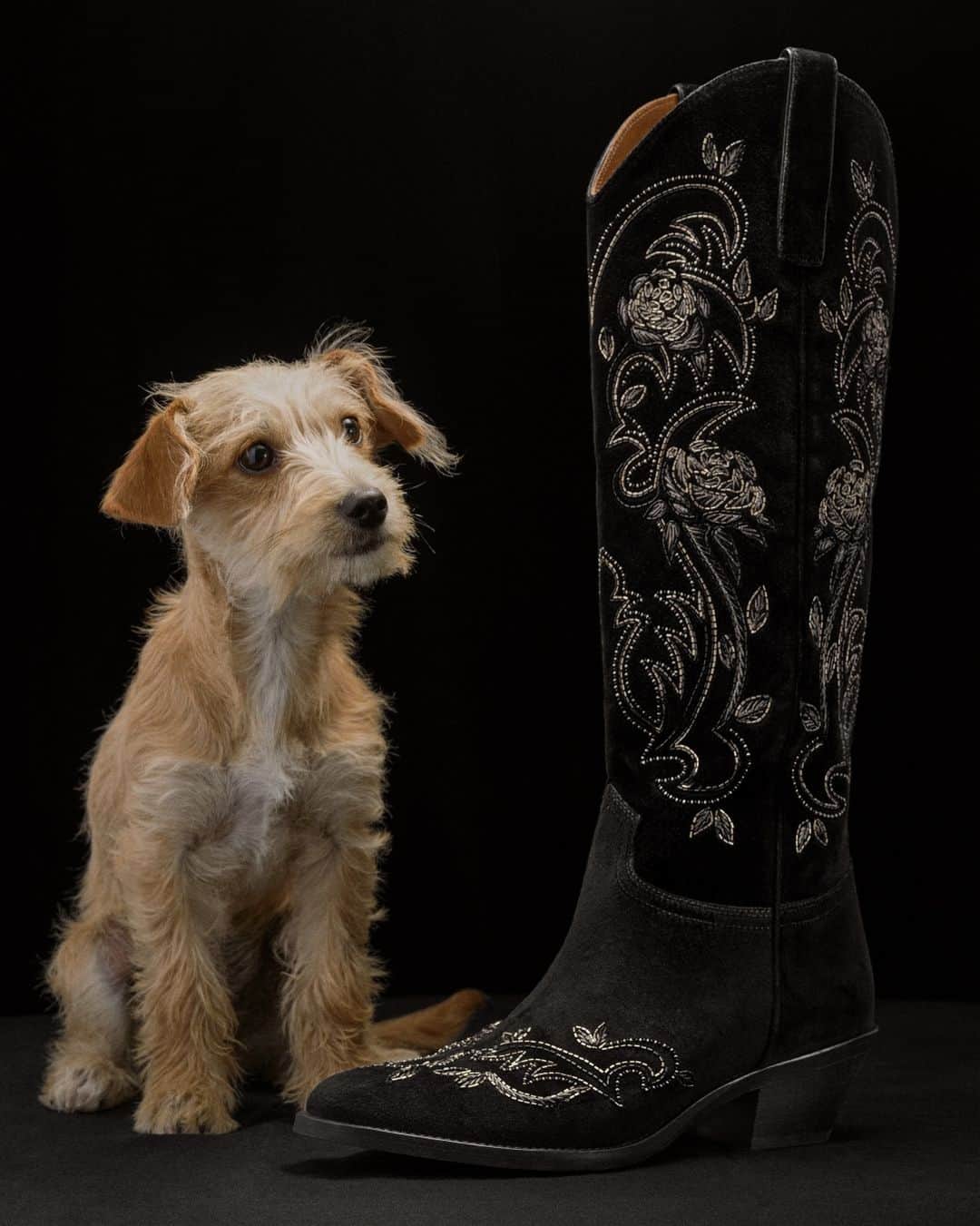 Ralph Laurenのインスタグラム：「Drawing inspiration from one of his favorite lifestyles, Ralph Lauren romances the classic cowboy boot with lush velvet and hand-embroidered details.  Discover the Jaelynne Embroidered Velvet Tall Boot and more #RLGifts via the link in bio.  #RalphLauren #RLHoliday」