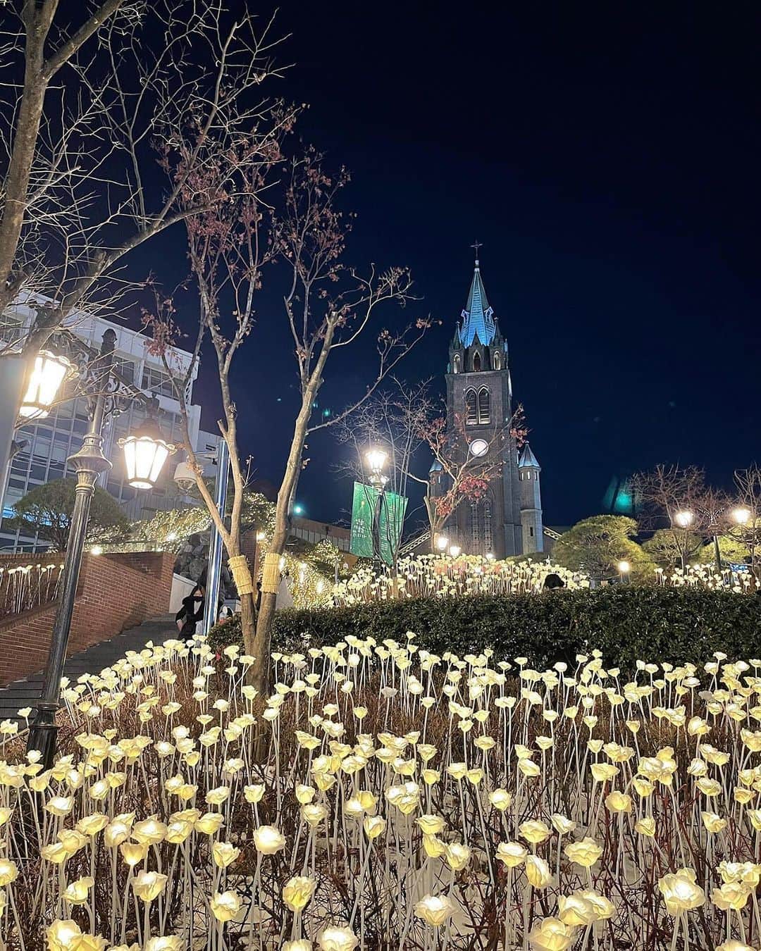 アシアナ航空日本地域公式アカウントのインスタグラム：「明洞聖堂  ┈┈┈┈┈┈┈┈┈┈ 明洞にある韓国カトリックの教会を代表する聖堂 「明洞聖堂」  韓国初のレンガで出来たゴシック建築で 韓国ドラマの撮影地としても有名です。  夜にはライトアップされ、 ロマンチックで幻想的な雰囲気に！ 夜のお散歩に立ち寄ってみてはいかがでしょうか？ ※紹介したお写真は2022年のものです。  📸 @kaoringo_kk831  ┈┈┈┈┈┈┈┈┈┈   #アシアナ航空 #アシアナ #ASIANA #asianaair #asianaairlines #OZ #Flyasiana #韓国 #korea #韓国旅行 #✈️#明洞聖堂 #明洞 #ミョンドン #韓国カトリック #明洞イルミネーション」
