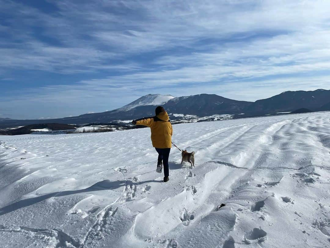 南武果歩さんのインスタグラム写真 - (南武果歩Instagram)「雪山に行きたい！ 雪山風でもいいんです！  雪〜！  #浅間山」12月14日 19時47分 - k3643h