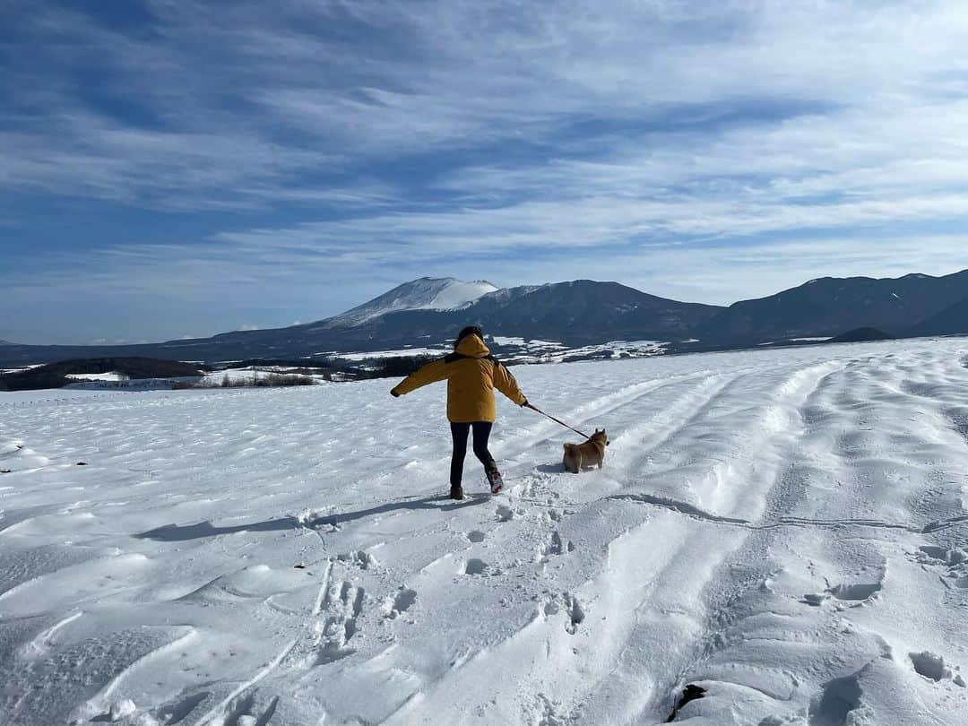 南武果歩さんのインスタグラム写真 - (南武果歩Instagram)「雪山に行きたい！ 雪山風でもいいんです！  雪〜！  #浅間山」12月14日 19時47分 - k3643h