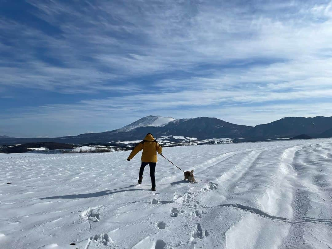 南武果歩さんのインスタグラム写真 - (南武果歩Instagram)「雪山に行きたい！ 雪山風でもいいんです！  雪〜！  #浅間山」12月14日 19時47分 - k3643h