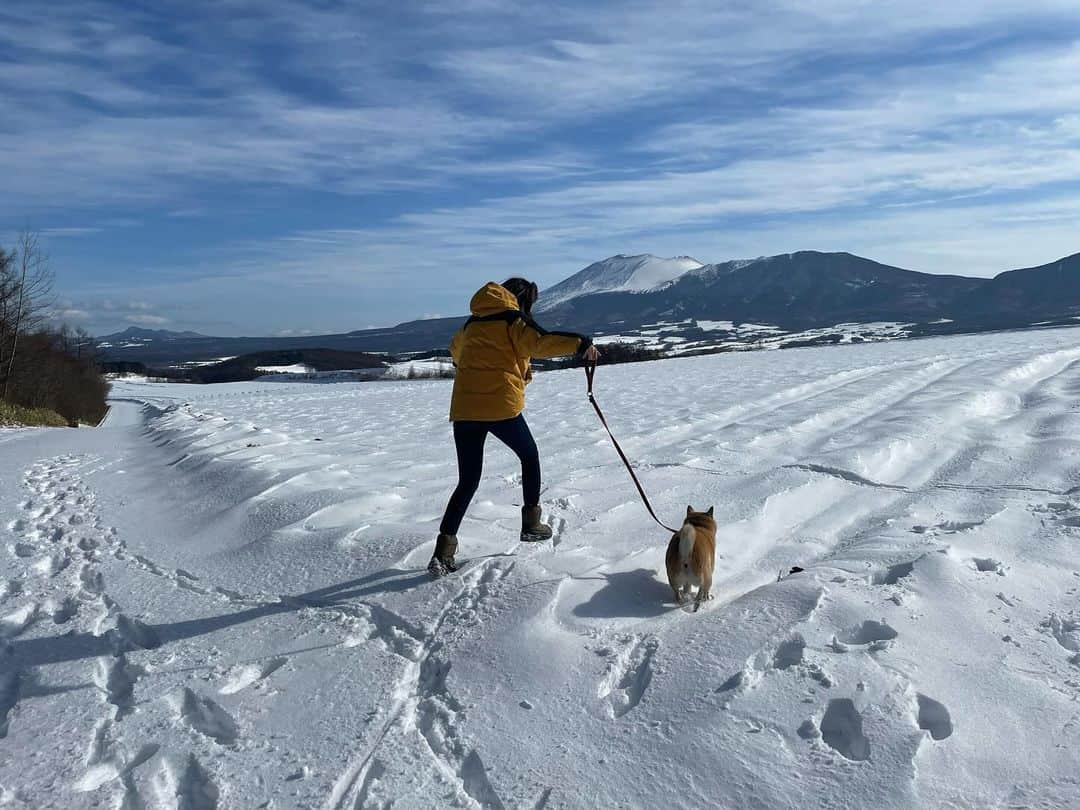 南武果歩のインスタグラム：「雪山に行きたい！ 雪山風でもいいんです！  雪〜！  #浅間山」