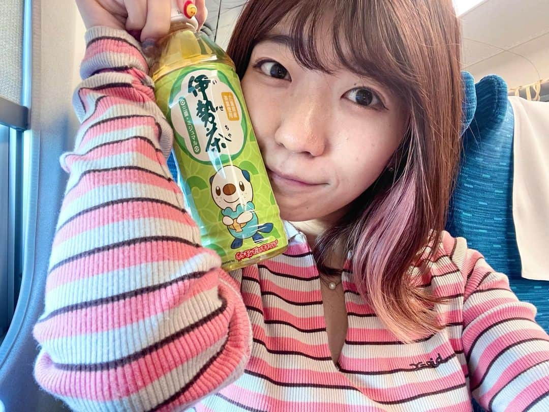 ぱいぱいでか美さんのインスタグラム写真 - (ぱいぱいでか美Instagram)「ミジュマル伊勢茶🩵💙 . 先月、MSMW遠征で奈良に行った時 ついでに(?)地元の三重にも帰って親とご飯食べたりしてました〜🫶🏻 とくにどこに行ったわけでもないけど、いい時間だった☺️  で、帰りはミジュマルの伊勢茶買って東京に帰りました🩵💙 みえ応援ポケモンのミジュマルを三重出身タレントのでか美ちゃんは応援しています✊🏻 ミジュマル表情豊かで可愛くて大好き🥹 とくにへの字口のとき可愛すぎる  お土産用にティーバッグタイプのも買いました🍵 三重、お肉も海鮮も野菜も美味しいし お茶も美味しいし食が無敵すぎる🥰 自慢の地元です！！！！！！！  で、で！ 実は明日のお仕事の関係で三重に前乗りしてます〜 みなさんが見に来られる場はないんですが 四日市で一日警察署長させて頂きます👮 . #伊勢茶 #ミジュマル #みえ応援ポケモン #ポケモン #三重出身 #三重 #三重県 #でか美ちゃん」12月14日 19時57分 - paipaidekami