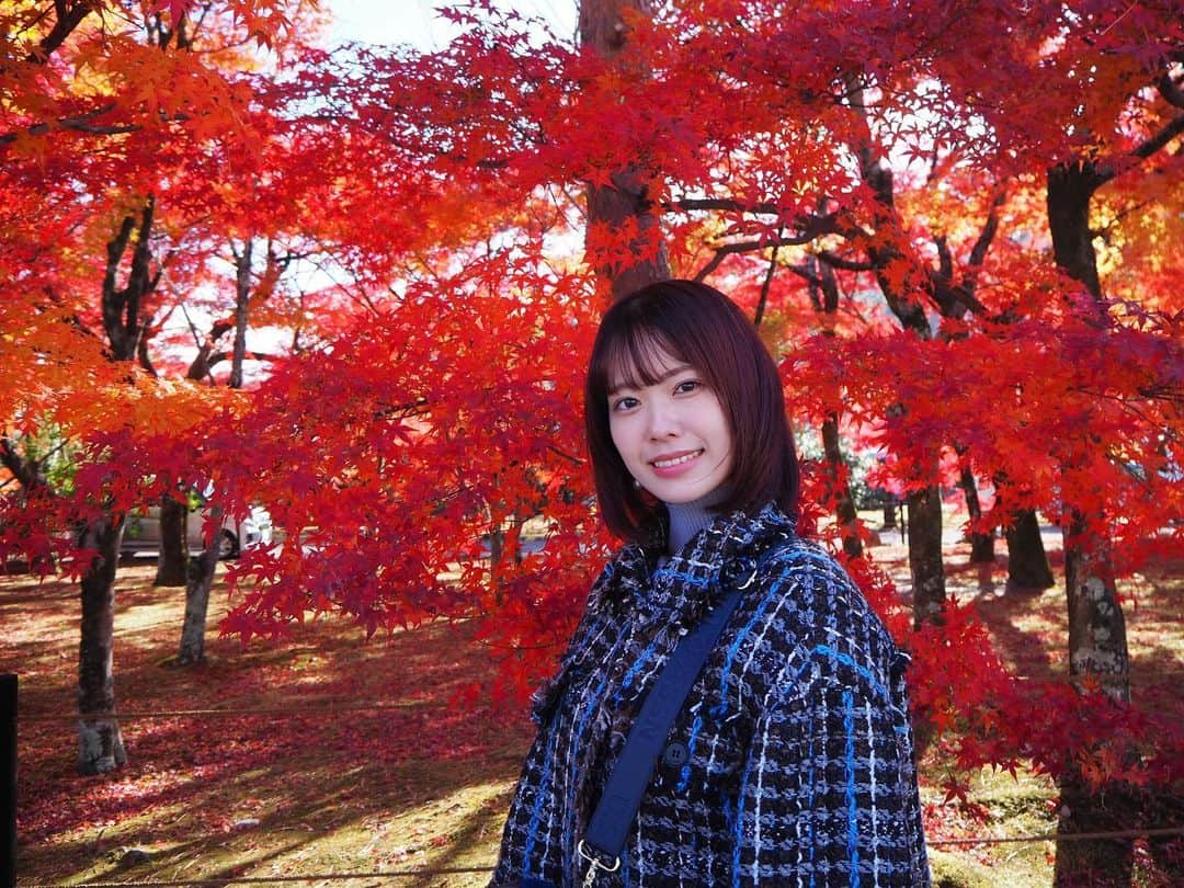 小田えりなのインスタグラム：「京都に秋感じに行ったよ〜  久しぶりにカメラを使ってみた📷  #京都 #紅葉 #秋」