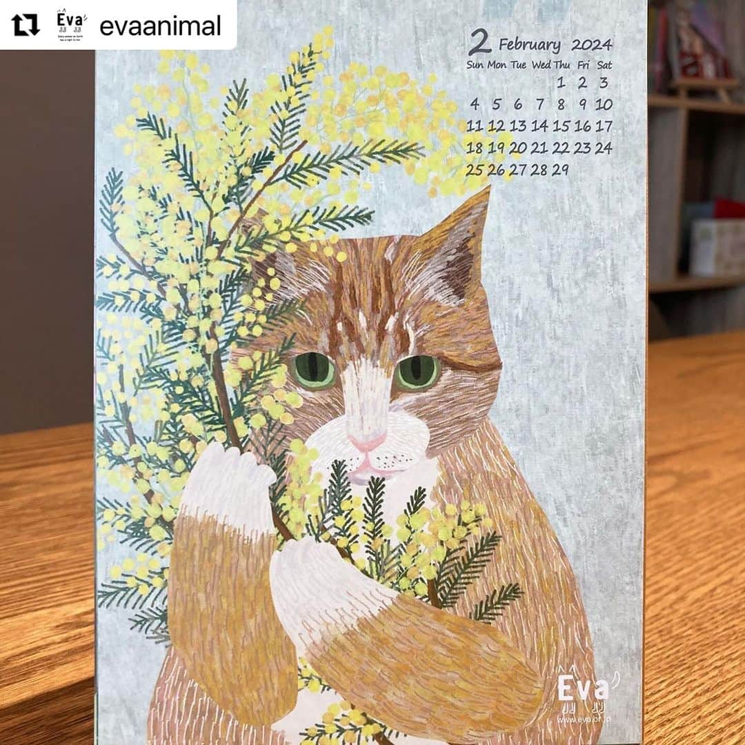 杉本彩さんのインスタグラム写真 - (杉本彩Instagram)「#Repost evaanimal with @use.repost ・・・ 毎年恒例となりましたEvaオリジナルカレンダー。  2月は、猫とミモザ。  ミモザの花言葉は『思いやり』  「動物福祉を考える第一歩として、他の生き物への思いやりをもっていただけたら...」と今回のイラストレーターのzucikoさん。そんな思いを込めて描いて頂きました。  他者を思いやる気持ちや、相手の立場になって考えることが出来れば、動物虐待などそもそも起こらないのではないでしょうか。  思いやりの気持ち... 大切にしたいです。  Evaオリジナルカレンダーのご購入で、是非Evaの活動をご支援くださ い！！  ■2024年Evaオリジナルカレンダー https://eva.buyshop.jp/  #2024Evaオリジナルカレンダー #ねこ #ネコ #猫 #ミモザ #動物カレンダー #動物福祉 #zuciko #動物環境福祉協会eva #杉本彩」12月14日 20時53分 - sugimoto_aya0719