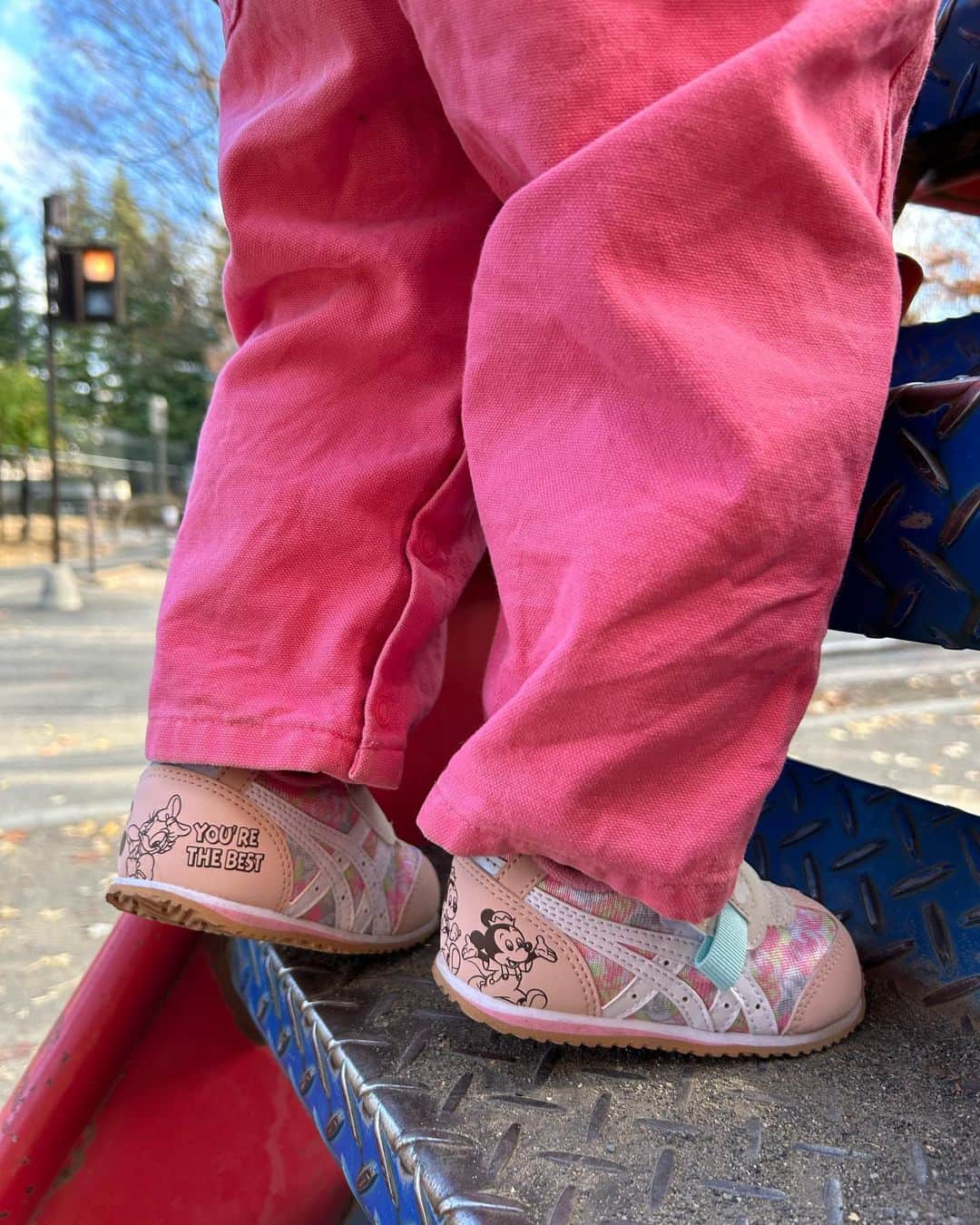 ANNA さんのインスタグラム写真 - (ANNA Instagram)「アシックスから商品提供をいただいたのでご紹介🩷 @asics_kids_japan キッズシューズ「スクスク」DISNEY collectionからミッキーと仲間達をモチーフにしたシューズがリリースされました👟  展開サイズ13cm-15.5cm(BABY)  頂いたり、買ったりで沢山靴を持っている娘ですが、asicsのベビーシューズはとにかく着脱が楽ちん！ お陰で最近では自分で脱いだり履いたり(左右逆な事は多めですがw)してくれます☺️  機能性も高く、足首をしっかり支えてくれて、踏ん張りやすい構造になっているそう。更に中敷は吸汗速乾性に抗菌消臭効果(←赤ちゃんとはいえしっかり足臭くなるのでめっちゃ大事😂)。  この時期、クリスマスプレゼントにもいいかもですね🎄🎁  #PR #ASICSKIDS #SUKU2 #Disney #ディズニー #100周年 #赤ちゃん靴 #ファーストシューズ #アシックスキッズ #スクスクディズニーコレクション」12月14日 21時38分 - anna_flare