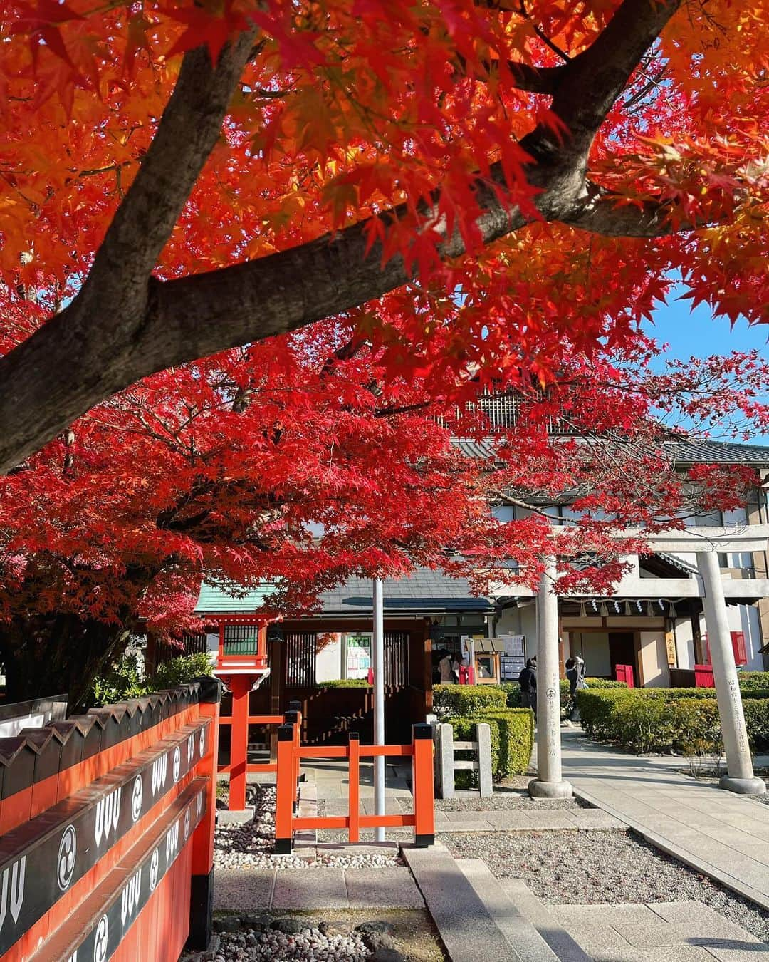 中村里帆さんのインスタグラム写真 - (中村里帆Instagram)「いい時期に行けた🍁」12月14日 21時48分 - __rihostagram__