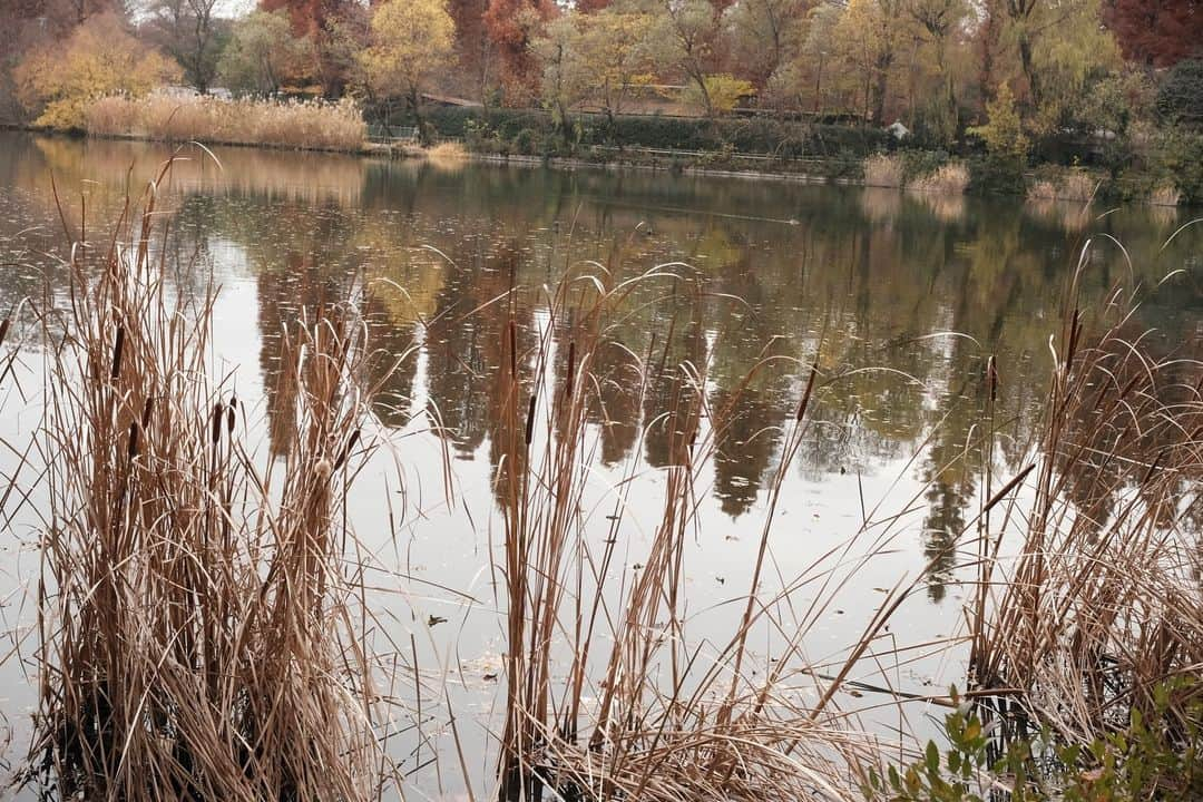 久保乃々花のインスタグラム：「🌾🌾」