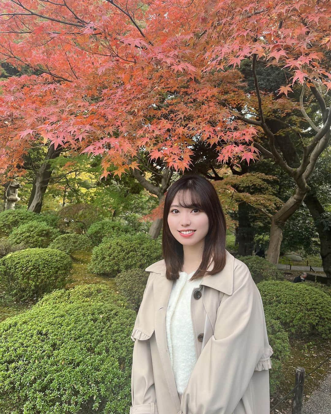 星名あゆみさんのインスタグラム写真 - (星名あゆみInstagram)「今年も紅葉ギリギリみれた🍁🌳☺️」12月14日 22時27分 - hoshina_ayumi