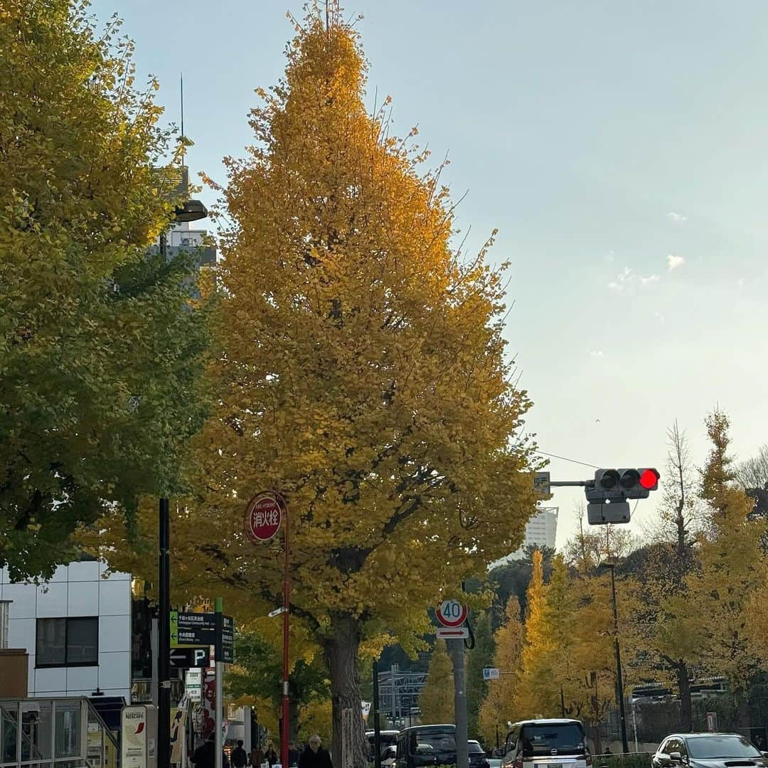 福田花音のインスタグラム：「🍂🍁♡」