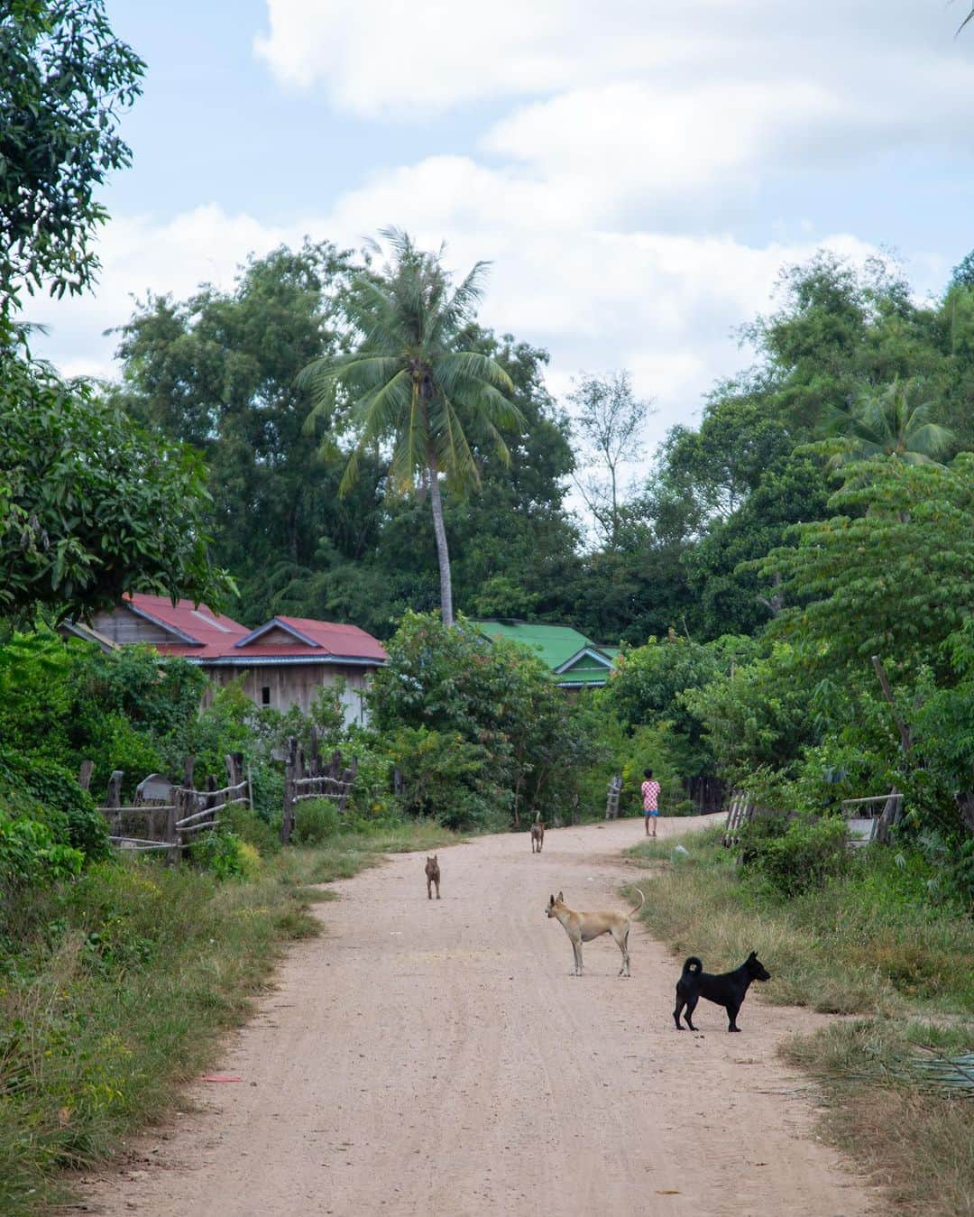 Shunsuke Miyatakeさんのインスタグラム写真 - (Shunsuke MiyatakeInstagram)「People in 5 villages / From 17 Triggers field research for Behavioral Assessment   Cambodia is aiming for 100% ODF in 2025. 85% is current national ODF rate.  25% OD in rural areas.  How might we achieve this goal? We set our vision of perfect for this project.  We want: poor households and people who are living in sanitation challenging areas (SCE) in Preah Vihear and Kampong Thom  to: build and use latrines consistently and stop open defecation  so that: we can improve sanitation in Cambodia.  We went to field research for 5days  and spoke to 64 people through HCD methods.  It was my first field research in 17 Triggers. We tried our best to grasp the people’s behaviors and insights from morning till late everyday for 5days. It was super remote and tiring research but we could grasp some. Now we are setting our strategic directions based on our findings. Stay tuned.  These are some photos from each village.   Kampong Thom / Stoung  (1-2)DAY1: Chenloh Village, Banteay Stoung Commune  (3-4)DAY2: Sor Lagneach Village, Pro Lay Commune (5-6)DAY3: Doun Sderng Village, Peam Bang Commune  Preah Vihear / Rovieng (7-8)DAY4: Ovleok Village, Romdoah Commune / Rumchek Village, Romoneiy Commune  (9-10)DAY5: Srae Village and Olong Village, Reap Roy Commune」12月15日 1時03分 - casadetake