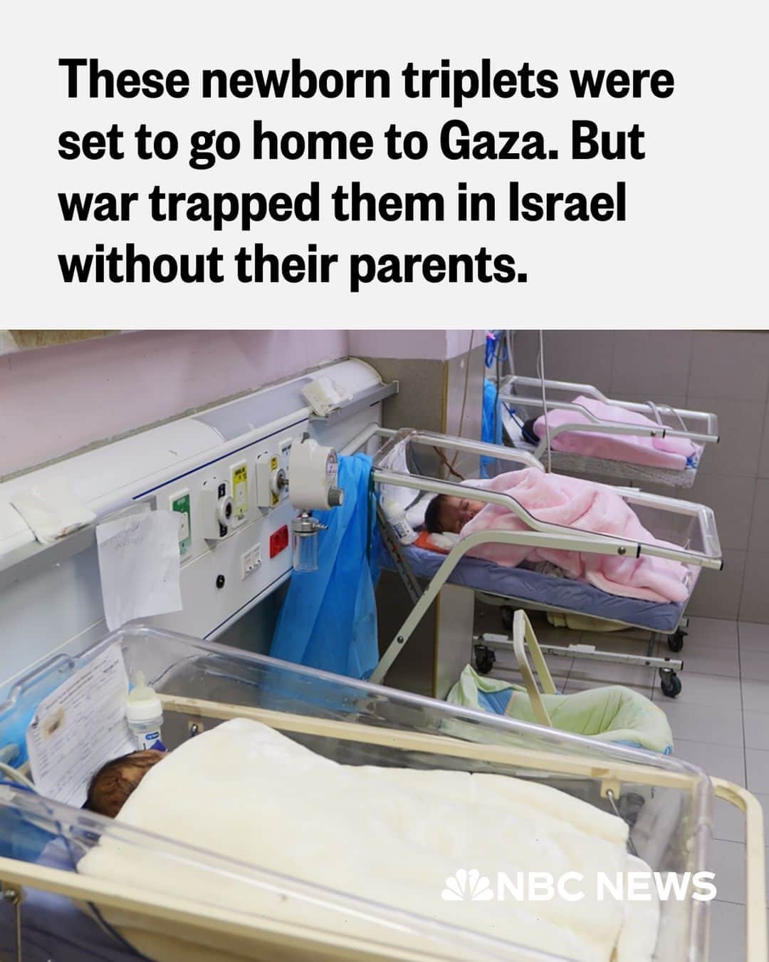 NBC Newsのインスタグラム：「Like most parents of newborns, Hanan and Fathi Beyouq’s faces light up when they see their triplets’ faces. But unlike other parents, Hanan and Fathi can only see their babies through a cell phone screen.   “The war separated us,” Hanan said, tears pouring down her face. “As a mother, I wish I could hug my girls.”  But although they miss their babies dearly, the Beyouqs don’t think there is any way to reunite until there is a new truce or the war ends.   “It is more safe there,” Hanan said, when asked if there is a chance she could take the babies back to Gaza. “Here the situation is very bad. We can’t provide them with milk or diapers or even food for ourselves.”  Read more at the link in bio.」