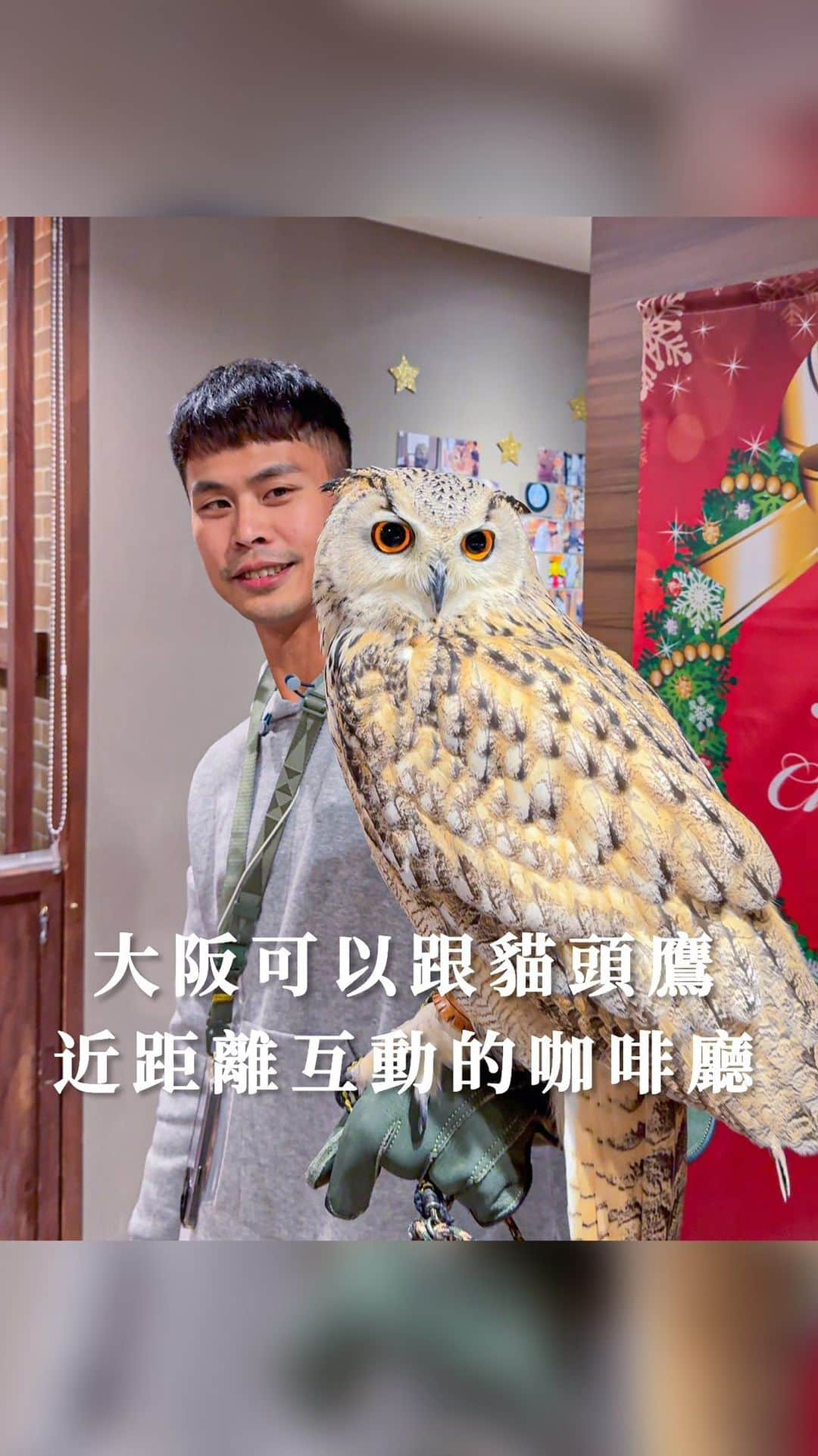 樂のインスタグラム：「大阪必去，可以和貓頭鷹近距離互動的咖啡廳🦉 Tag你想一起去大阪旅行的人 📍大阪心齋橋。Owl Cafe Chouette 建議提前預約，也可直接去現場！ #大阪#大阪景點#大阪旅行 #心齋橋 #貓頭鷹 #owlcafe #osaka#osakacafe #osakatrip」