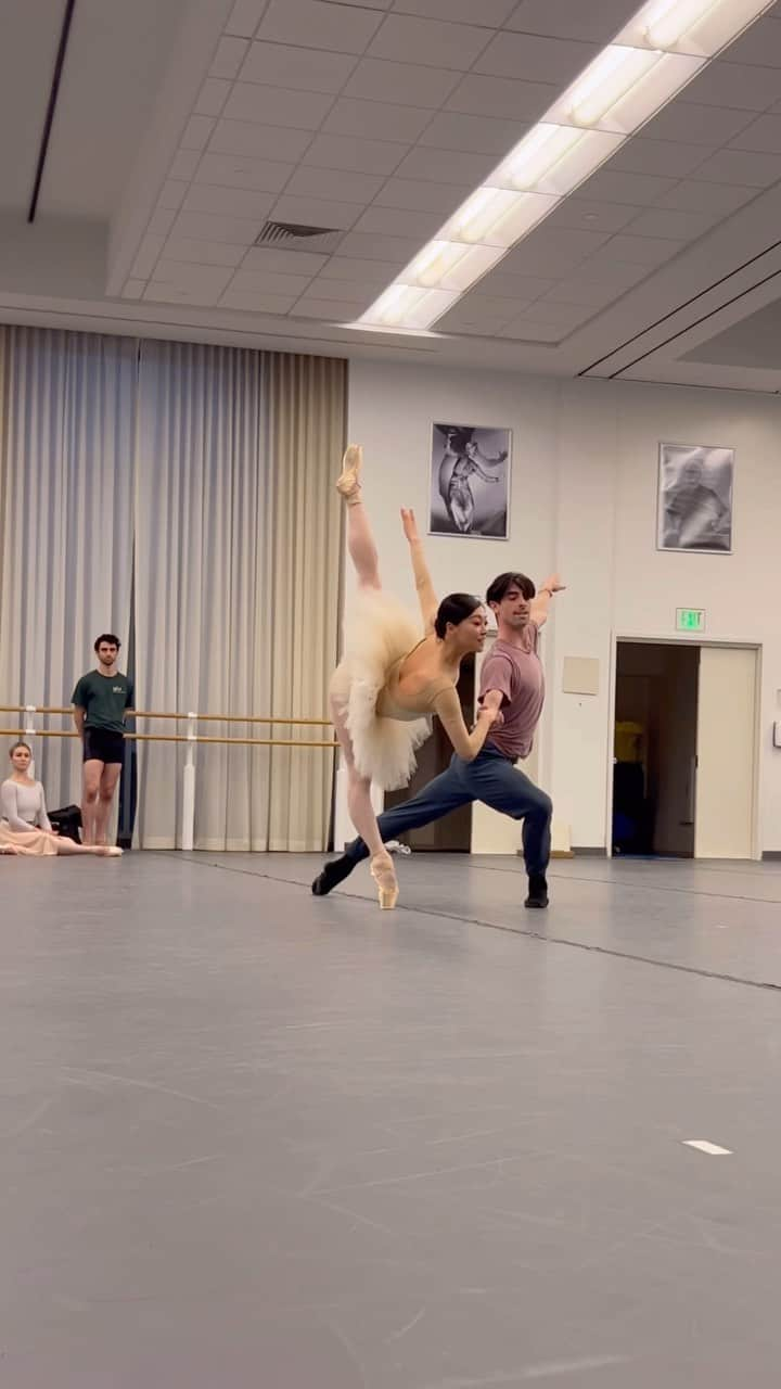 倉永美沙のインスタグラム：「I’m very excited for the @sfballet season to start, and I’m dancing the grand pas de deux with @josephwalshsf today at 11am and tomorrow at 7 pm this week, with more shows scheduled until the end of the month. (Please check my post for my shows) Here we are at our run-through in the studio. I love this pas de deux by Helgi Tomasson, and the music really grabs my heart. ♥️   今年もいよいよくるみ割り人形でサンフランシスコバレエのシーズンが開けます。ビデオは通し稽古より。ヘルギトマソンのこのバージョンはすごーくハードですが大好きな作品の一つ。パドドゥの音楽は魂に響く🔥今から本番楽しみです⭐️   #nutcracker #music #soul #season #ballet #ballerina #love #passion #ballerinalife #バレエ　#くるみ割り人形　#バレリーナ #魂」