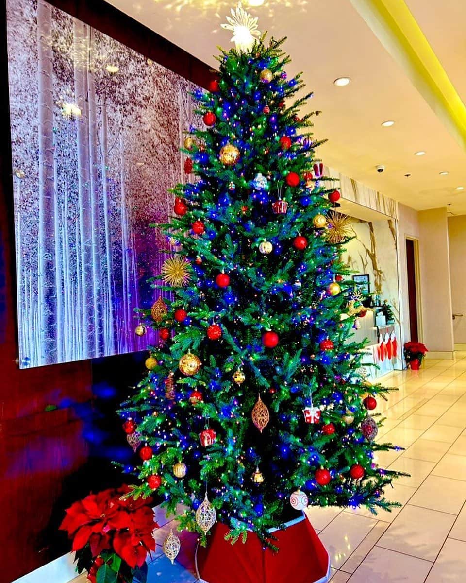 久保亜沙香さんのインスタグラム写真 - (久保亜沙香Instagram)「ホテルにあったクリスマスツリー、可愛い🔴🔔🎄🎁  さっきちらっと会場に行ったらもう列で並んでくれてました。 去年も来てくれたみなさん🇺🇸 うれしい。  ただいま14日の12時半くらい。  13時からポップアップショップ開店です🧸  #la #losangeles #ロサンゼルス #littletokyo #sofvitokyo #sofvi #sofubi #monsterpatroltoys #popupshop #クリスマスツリー #miyakohotel」12月15日 5時22分 - asaka_kubo