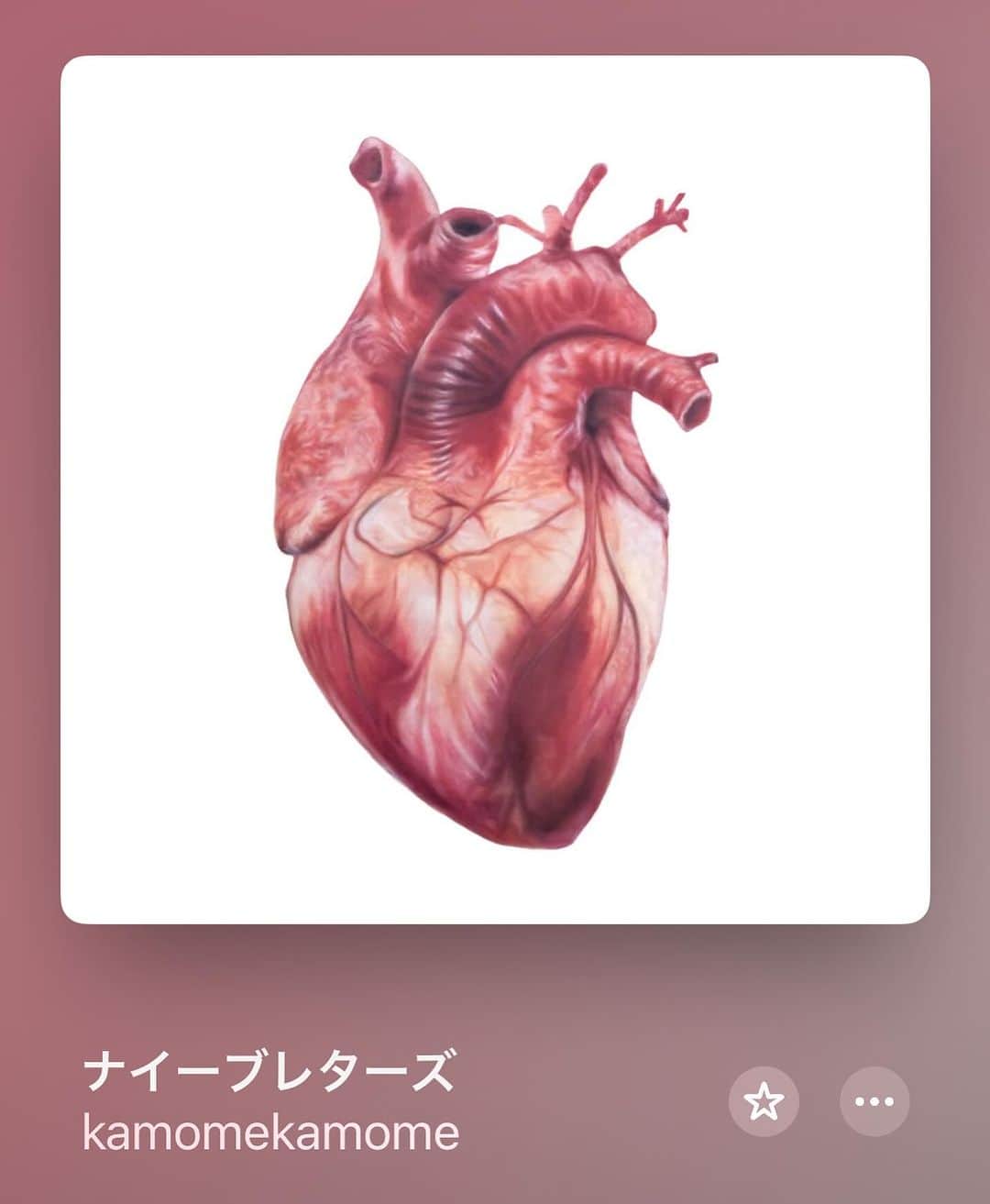 のインスタグラム：「出勤前ソング😊🎧  @ikkinotdeadgram  #kamomekamome  #vol97」