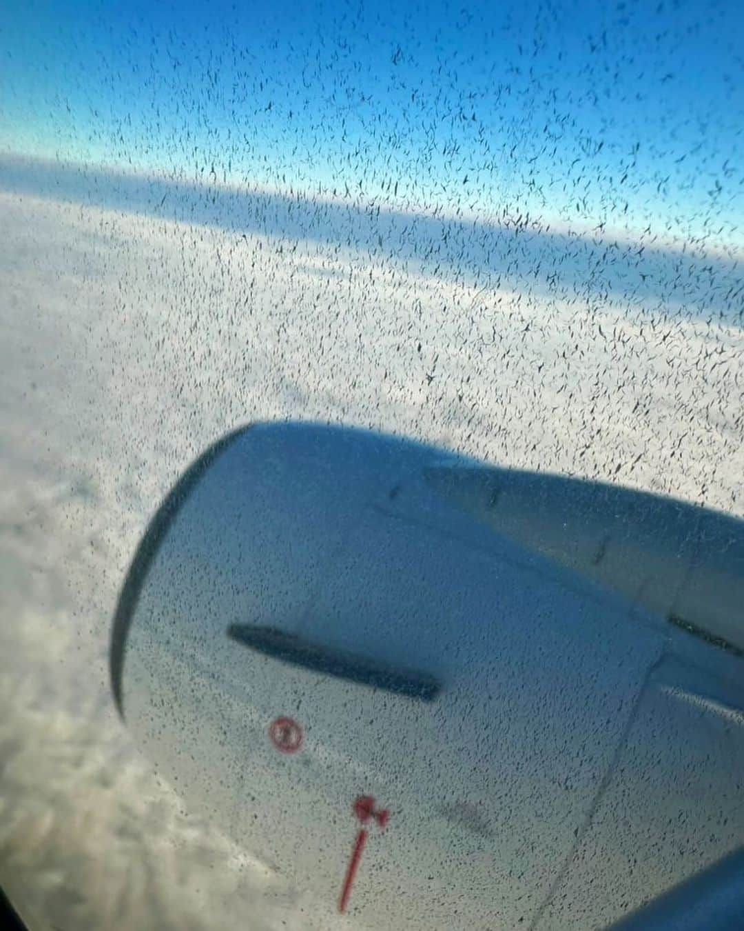 松田次生さんのインスタグラム写真 - (松田次生Instagram)「高松空港✈️着陸🛬出来ないかも‼️ あと20分旋回して駄目なら羽田空港に戻るらしい‼️ 確かに上空から見ても霧というより雲が‼️ しょうがないですね💦」12月15日 9時43分 - tsugiomatsuda290