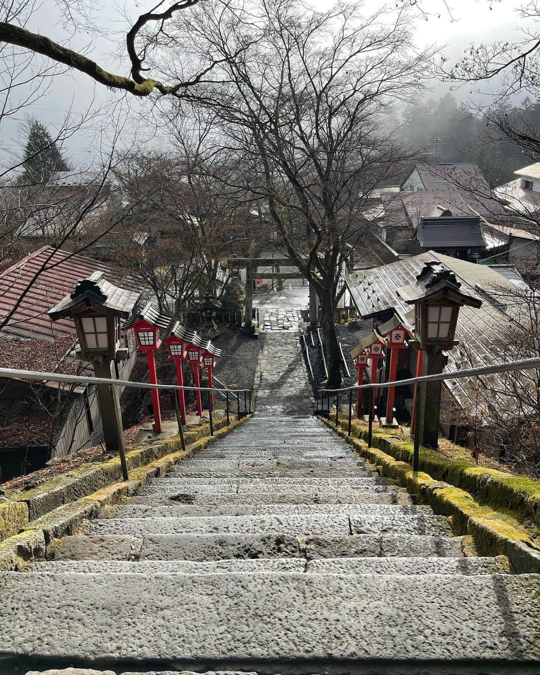 深澤里奈さんのインスタグラム写真 - (深澤里奈Instagram)「◯◯◯  御礼参り。 熊野皇大神社へご参拝です。  ご神域にて今年のご報告を致しました。 本当に色々あった2023年。  新たなご縁に恵まれたこともありがたかったですが、驚くほどかつてのご縁が色濃かった今年は、出産前にエネルギッシュに動いていた時期を思い出させてくれました。  子供の成長も毎日見ることができ、幸せなことです。  来年も、良い年が迎えられますように。  さて、明日は我が稽古場の納会です。急いで準備に取り掛かりましょう。  #熊野皇大神社 #御礼参り #御神木 #シナの木 #暖かい日でありがたかった」12月15日 9時52分 - rinatj