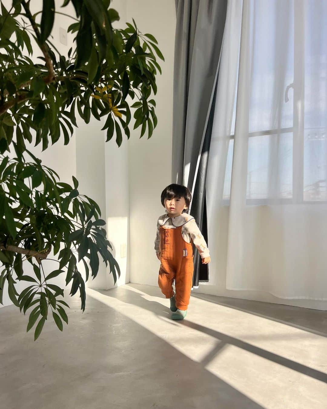 Ayaのインスタグラム：「昨日のスタジオで👦🏻🪴 （寝起きでぼーっとしてる）  朝は色々大変だったけど私が撮影中３時間も スヤスヤと良い子に寝てくれてた息子🥹 お付き合いありがとうね🤝❤️ 起きてからずっとママママでくっつき虫やって🐣 もし撮影中起きてたら、どうなってたことかー！笑  洋服の質問たくさん着てたので👦🏻🏷 tops&pants  @moimoln.jp  shoes @attipas_jp  最近、寒いのにベビーカーのると 靴と靴下を脱ぎたがるのでattipasが良い😎 よちよち歩きの時めちゃくちゃ履いてなぁ❤️  #男の子#1歳男の子#子供服#moimoln#moimolnコーデ#海外子供服#アティパス#attipas#こども靴#ベビーシューズ#歩育#歩育シューズアティパス」