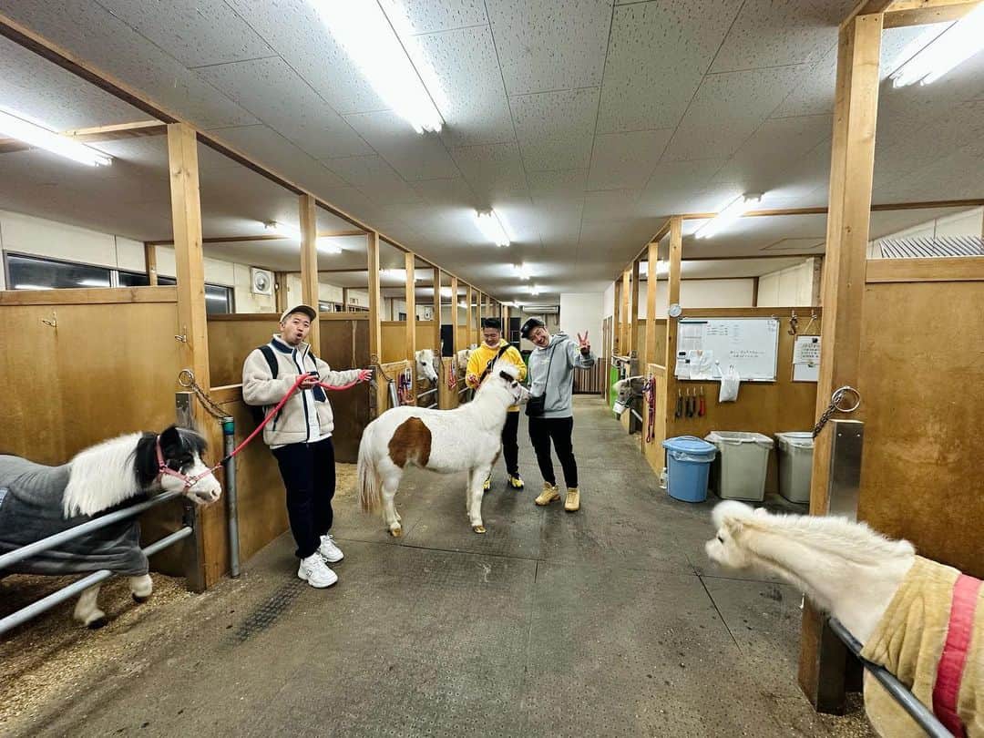 DEppaさんのインスタグラム写真 - (DEppaInstagram)「#大井競馬場 #メガイルミ  先週の土曜日に予定されていたメガイルミが 延期になって本日の開催となりました！  最初寒かったのに、途中 奇跡の南風w  ちょっと暖かかったです！w  めちゃくちゃ楽しかったーーーッ！！！✨  1.kamataッ子6 2.手のひらたたけば 3.YOU 4.ぼくらの街のクリスマス 5.エール 6.ウマシカ  延期になって平日になってしまったけど、 沢山の人が来てくださいました！  本当にありがとうございました！！！  来れなかった方々、来年も呼んで頂けるよう 頑張りますので！また来年来てくださいね！  本日も大井競馬場の皆様、メガイルミの皆様に 大変お世話になりました！m(_ _)m  ライブ後、今年も馬たちが休む厩舎を見学！  毎回貴重な体験をさせて頂き大感謝です！  大田区民として、大田区観光PR特使として、 来年もまた絶対にここでライブしたいです！  イルミネーションも最高！✨🎄  引き続き宜しくお願いします！m(_ _)m  さぁ！明日は名古屋はセントレア空港でライブ！  6時出発で愛知県に向かいます！🚐👍🏽  行くぜ東海！明日も楽しむぞーーーッ！！！  #シクラメン #シクラ族 #シクライブ #LIVE #大田区 #地元 #故郷 #蒲田 #大田区観光PR特使 #地元愛 #競馬 #馬 #イルミネーション #最高 #東京メガイルミ #TOKYOCITYKEIBA」12月15日 22時04分 - deppa_shikuramen