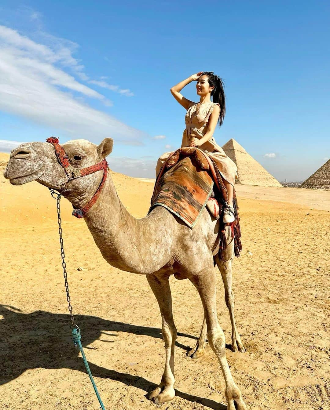 絹野志朋さんのインスタグラム写真 - (絹野志朋Instagram)「Hello Egypt❤️👋  １ヶ月振り２回目のエジプト出張🇪🇬 初めてラクダに乗りました🐪💕  人生でやりたかったことの１つ バケットリスト達成🥰📝  素晴らしい経験をさせて頂けること、 いつもいつも本当に感謝です。 全てのご縁と周りの皆様への感謝の気持ち。  そして、私自身、まだまだ行きたいところも 知りたいことも学びたい事も沢山あるのですっ♡ . . #egypt #egypttravel #pyramids  #エジプト旅行 #エジプト観光  #ピラミッド #ギザ #ギザのピラミッド」12月15日 20時38分 - shihok0414