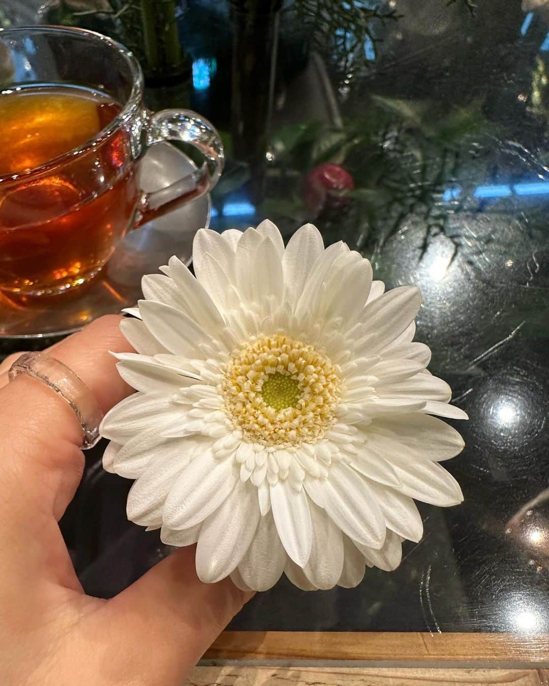 井上ほの花さんのインスタグラム写真 - (井上ほの花Instagram)「🌟🐻  今日の朝毛先巻いたのにな〜 雨シャワーしたからかな〜 さむいね〜でも、まだ紅茶のあったかさがカラダの中にいる。 あ〜電車いっちゃったよ！！  #ほの花とお花のツーショット」12月15日 15時23分 - milky_milky0209