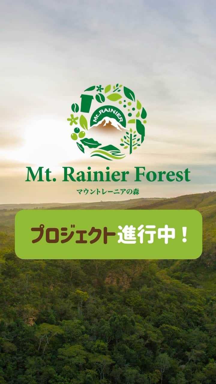 マウントレーニア(Mt.RAINIER)のインスタグラム：「え？！マウントレーニアが新プロジェクト！？👀  ブラジルのダテーラ農園とともに、 マウントレーニアの植樹活動が 進んでいます！  詳しくは次の投稿を見てね😊✨  　 他の投稿で最新情報をチェック👀✨ ▶︎ @mtrainier.official  #カフェラッテ #カフェラテ #マウントレーニア #mtrainier #コーヒータイム #コーヒー豆 #今日がやさしくなっていく #ダテーラ農園 #ダテーラ #サステナブル #サスティナブル #ブラジル #農園 #カーボンネガティブ #植樹」