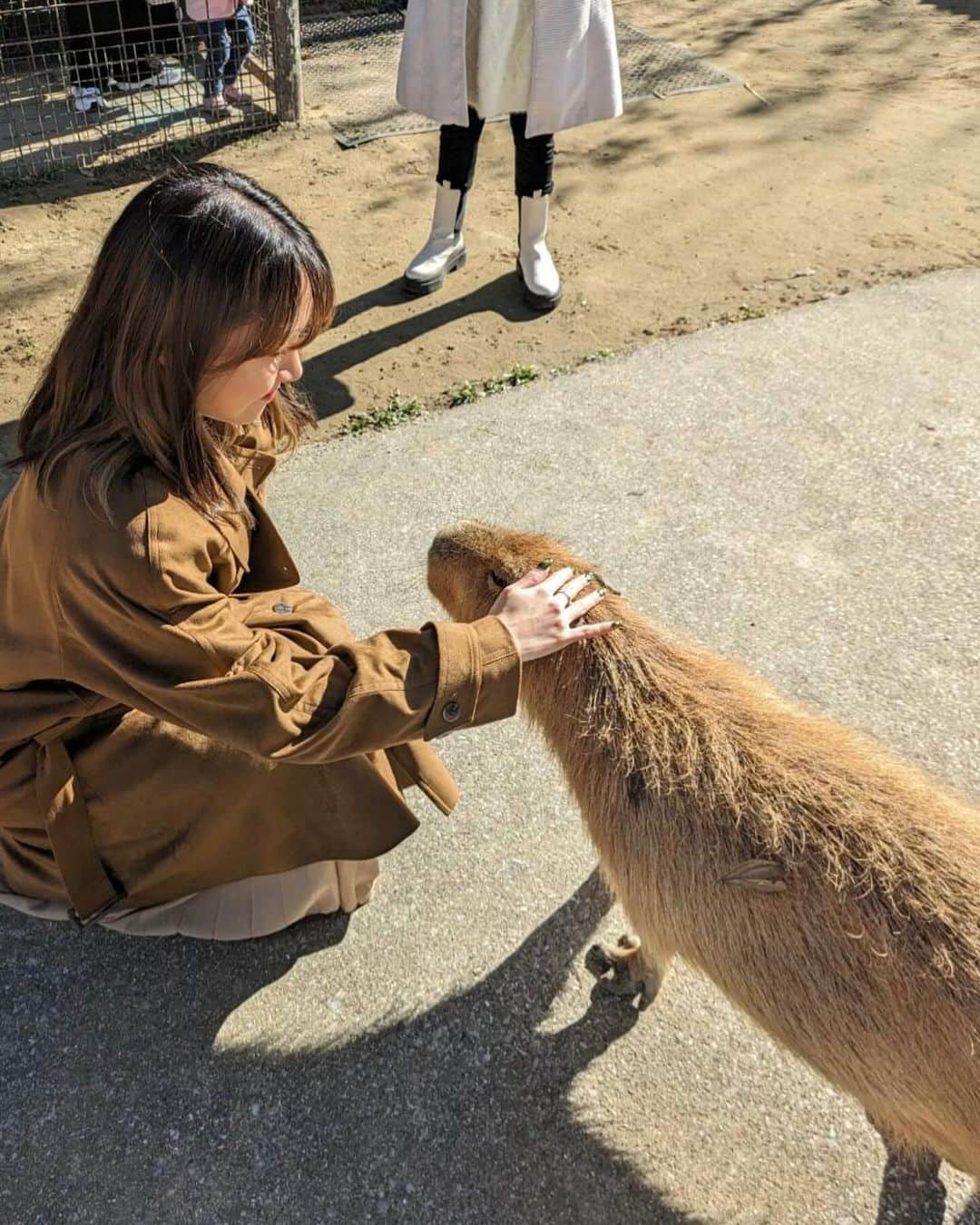 海老沢恵莉香さんのインスタグラム写真 - (海老沢恵莉香Instagram)「With my gals❤️‍🔥 Mau upload video halal trip kemaren, inshaAllah besok! Tunggu ya😙  #halalnavitrip」12月15日 18時06分 - erika_ebisawa