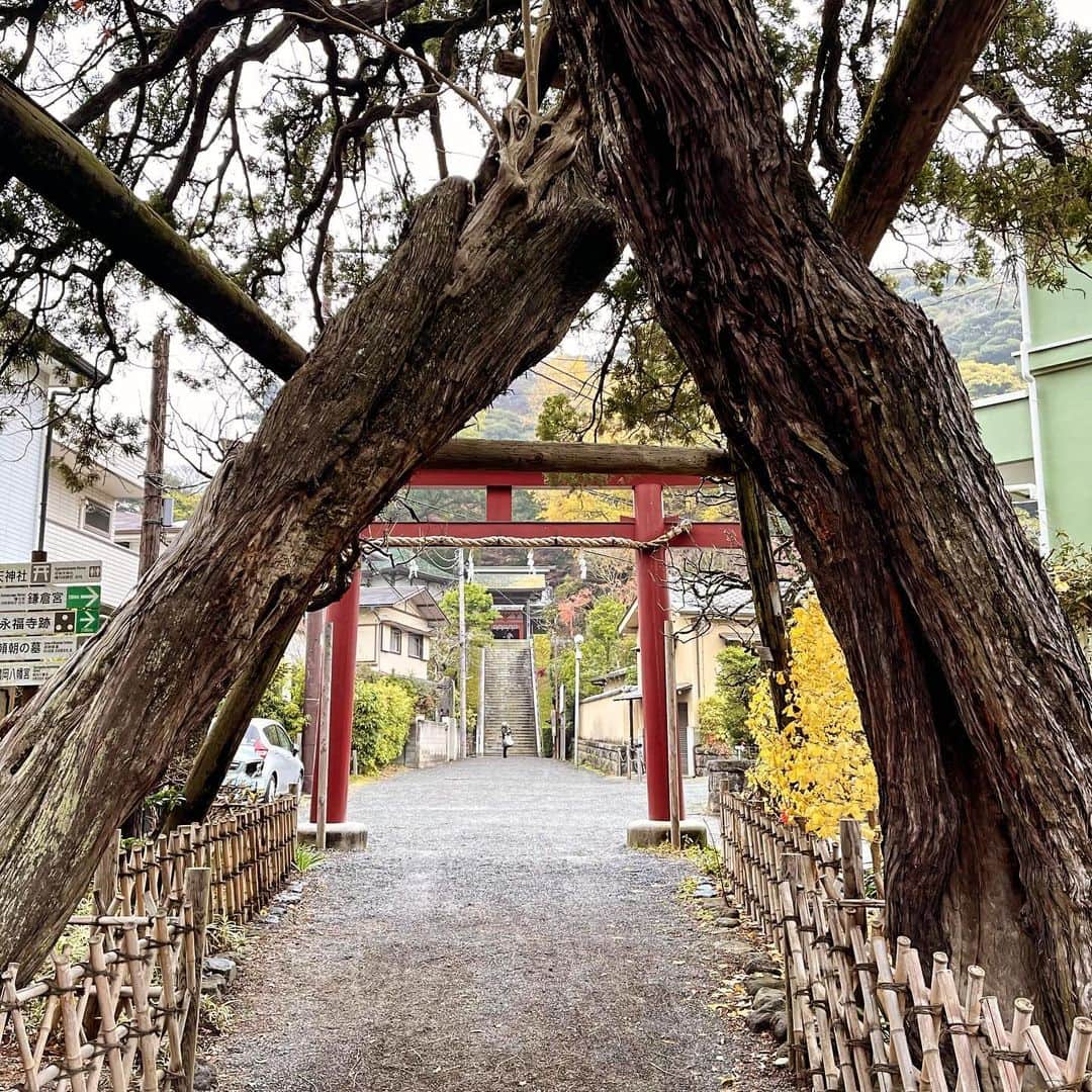 三浦瑠麗さんのインスタグラム写真 - (三浦瑠麗Instagram)「きょうは藍大島で鎌倉にお出かけ。 お蕎麦のち文楽。 お人形を触って少し動かしてみました。重い。そして当たり前だけど、難しい。 帯は成匠さんから。簪はアンティークの翡翠、トルコ玉の帯締め。」12月15日 18時29分 - lullymiura