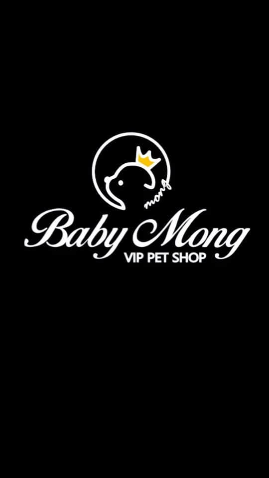 のインスタグラム：「Babymong is a famous dog brand in korea🇰🇷👍👍 . . 저희는 다양한 강아지를 소유하고있으며, 강아지의 외모와 건강에 최선을 다하고 있습니다. We OWN Each and Every Puppy In Hand We Only Offer the Best in Appearance and Health  . . 베이비몽은 11년동안 운영한 믿을 만한 펫샵으로 많은 한류스타, k팝스타, 셀럽들이 선택한 곳입니다 미니 사이즈,명품견 전문으로  해외,국내에서 이미 유명하며  단 한건의 사고 없이 지금까지 운영해 왔습니다  당신이 원하는 강아지가 있다면 언제든지 연락주세요!!  BabyMong is a reliable pet shop that has been operating in Korea for 11 years. Many K-pop stars, Korean wave stars, and celebrities chose BabyMong. We are specialize in selling mini-cup-sized puppies. We sent many puppies abroad for a long time. And the puppies have been transported safely without a single accident.  Feel free to contact me if you are interested. . . ????서울 영등포 본점: 010 8325 0086 영업등록번호: 110111-7609071 주소: 서울시 영등포구 영중로23 대표번호: 1688-4386 ??  text Instagram☎+82-10-2214-0186 Whatsapp +82-10-2214-0186 Wechat babymongoverseas Email : babymongkorea@gmail.com Dm : ?? Please direct message call me BABYMONG Main Kakao talk ID : babymongkorea . . #강아지입양#강아지분양 #애견#애견분양#서울애견#베이비몽 #puppyforsale#koreanpuppy#overseas#delivery」